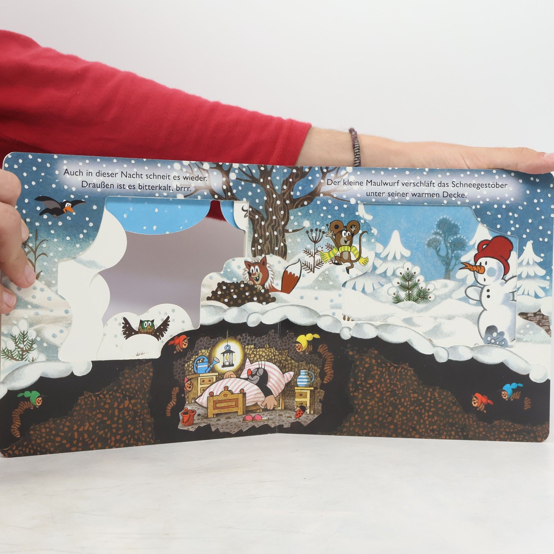 Trötsch Verlag Trötsch Der kleine Maulwurf Winter-Fensterbuch