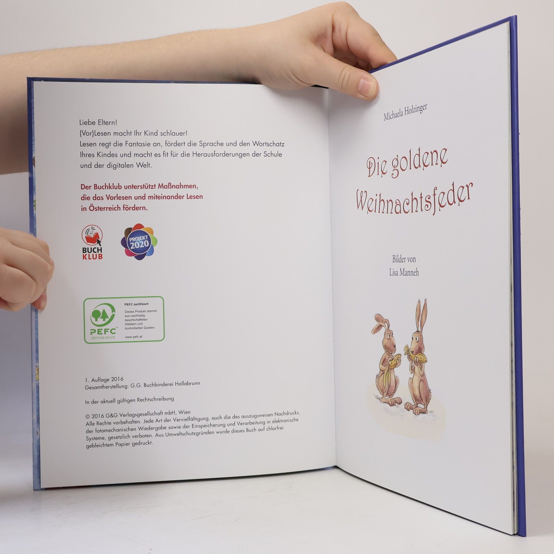 Michaela Holzinger Die goldene Weihnachsfeder