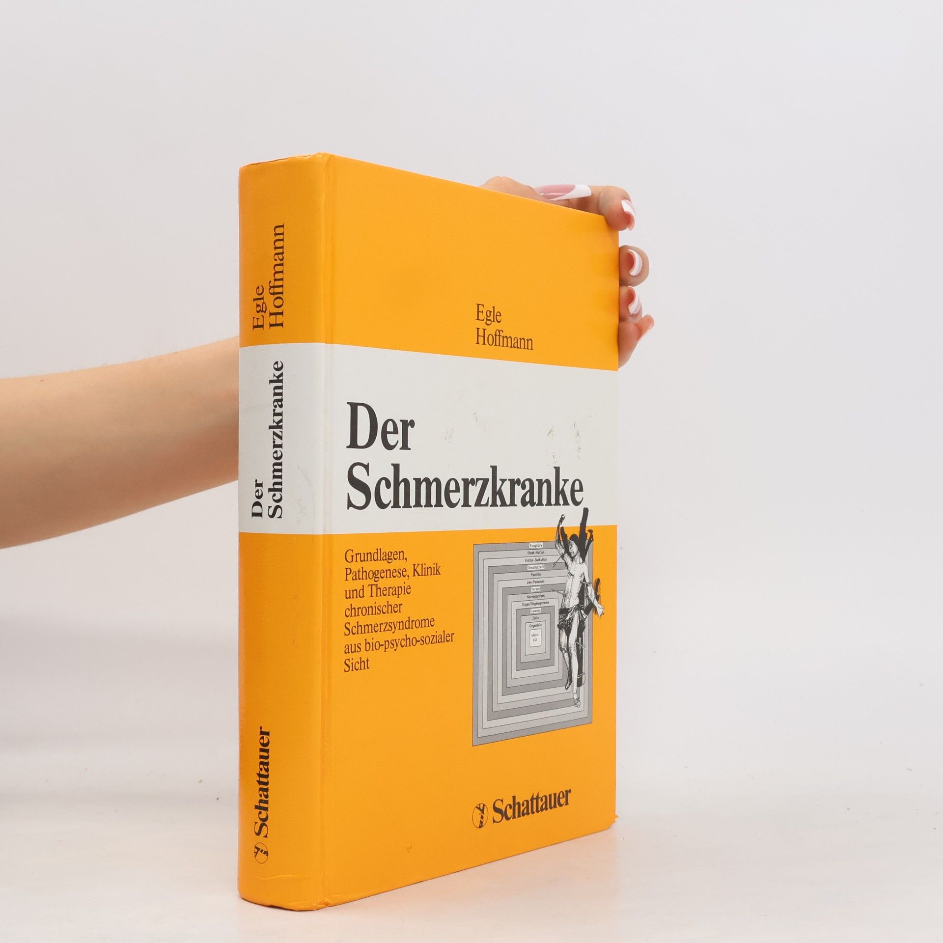 Sven Olaf Hoffmann Der Schmerzkranke