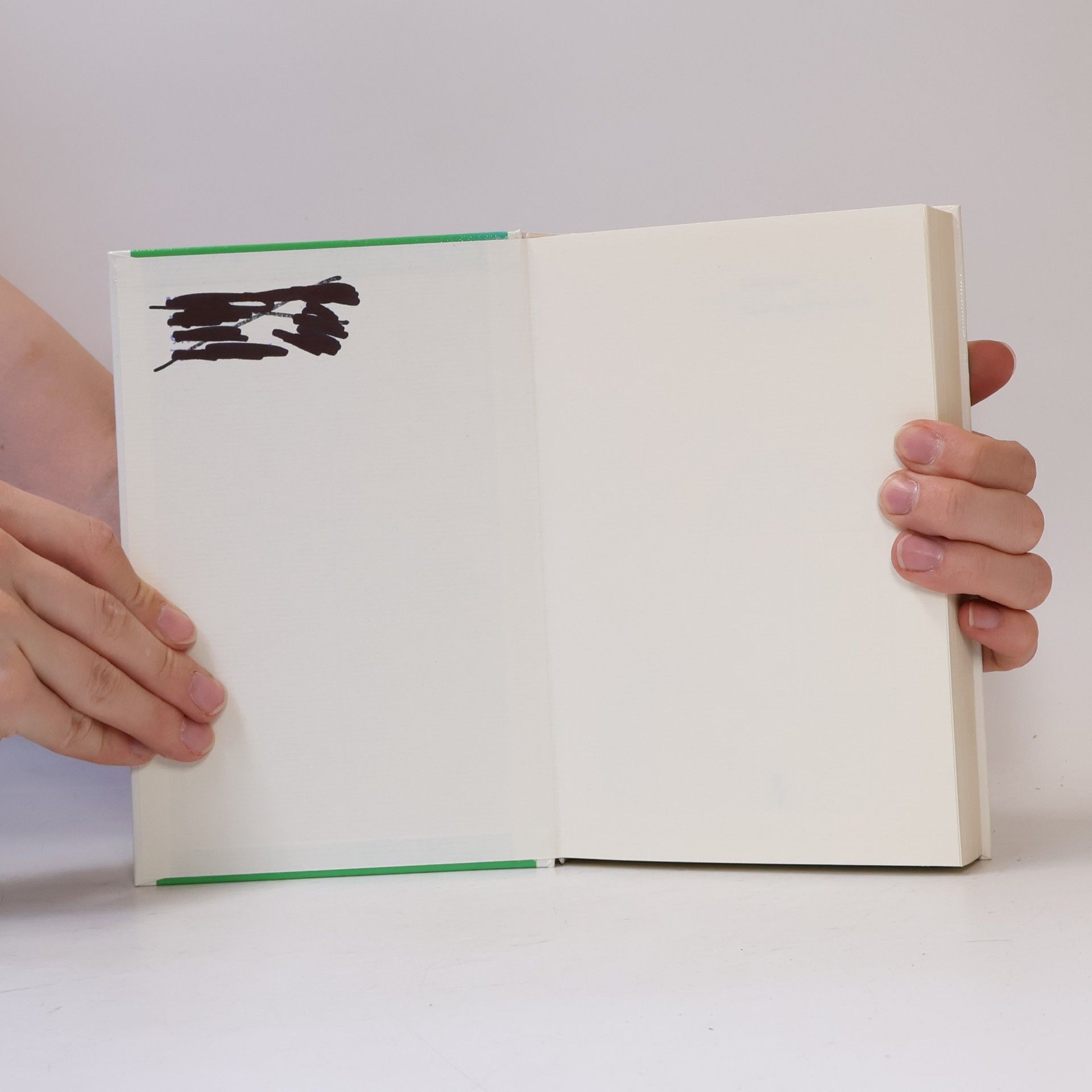 Dagmar Domina Tag für Tag und Jahr für Jahr. Grosses Werkbuch für Kindergarten und Schule