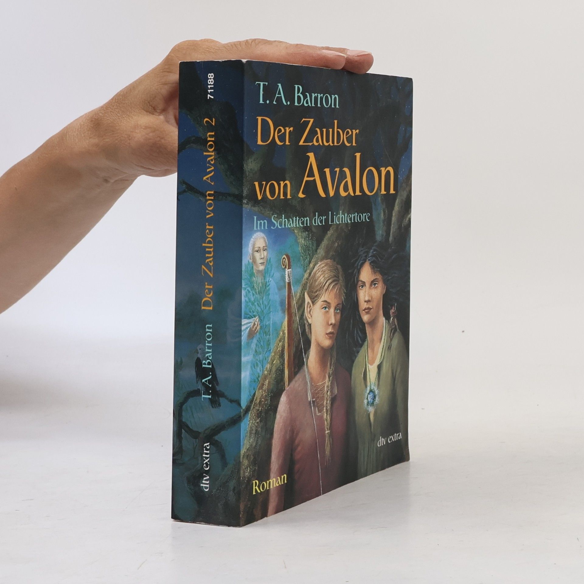 T. A. Barron Der Zauber von Avalon