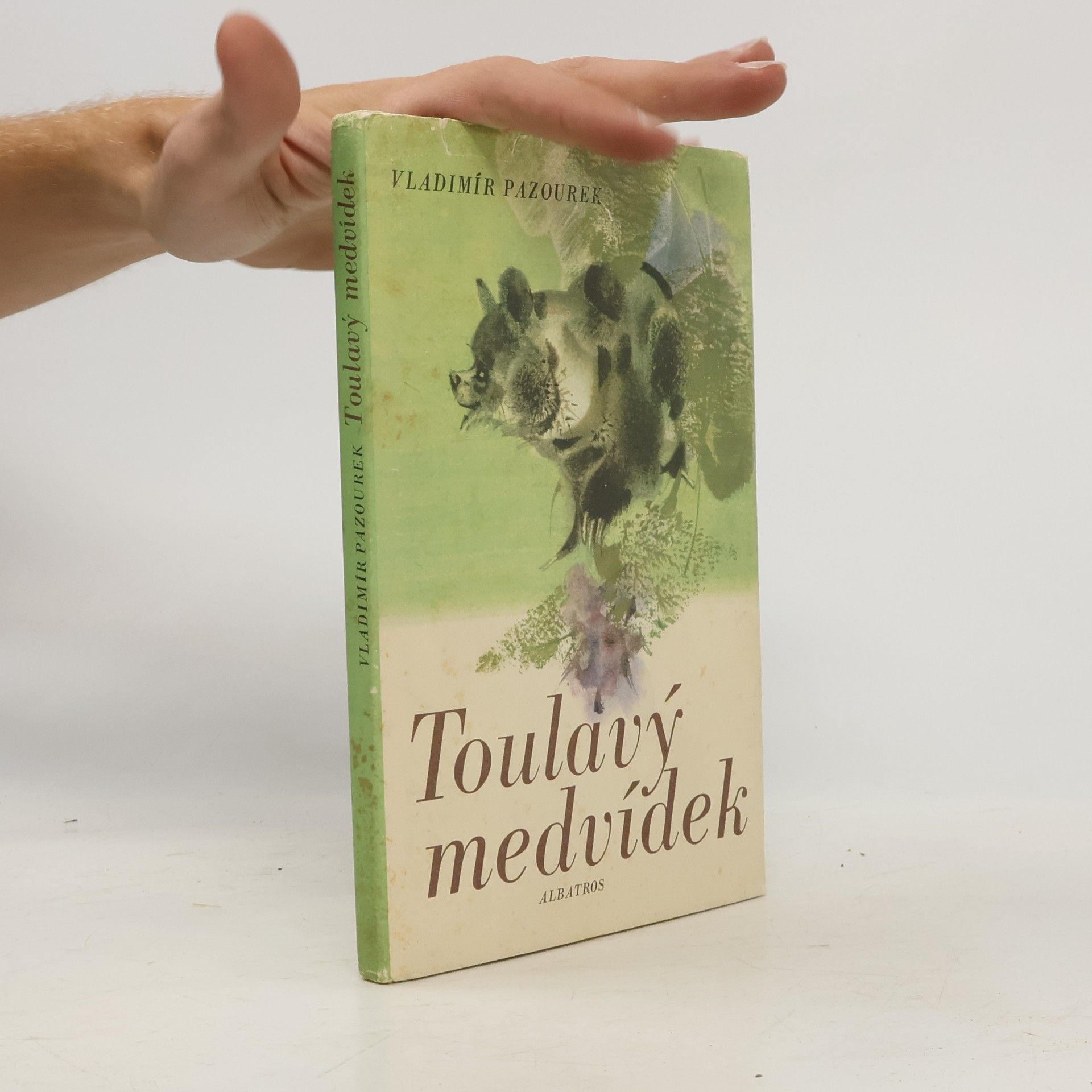 Vladimír Pazourek Toulavý medvídek
