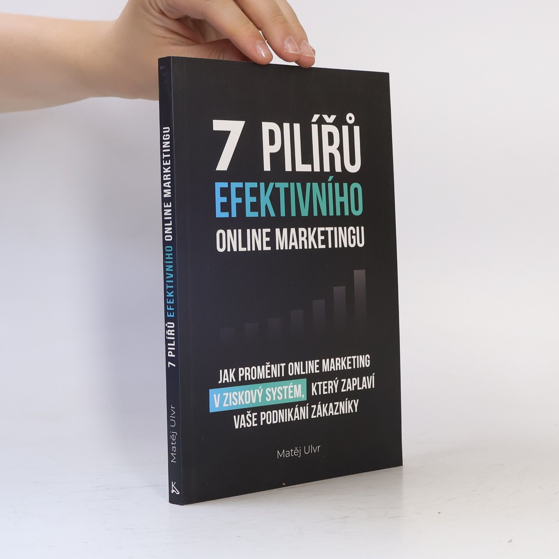Matěj Ulvr 7 pilířů efektivního online marketingu