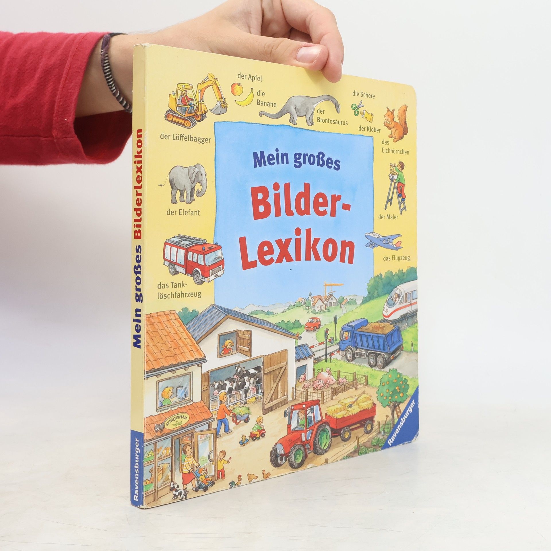 Autorenkollektiv Mein großes Bilderlexikon