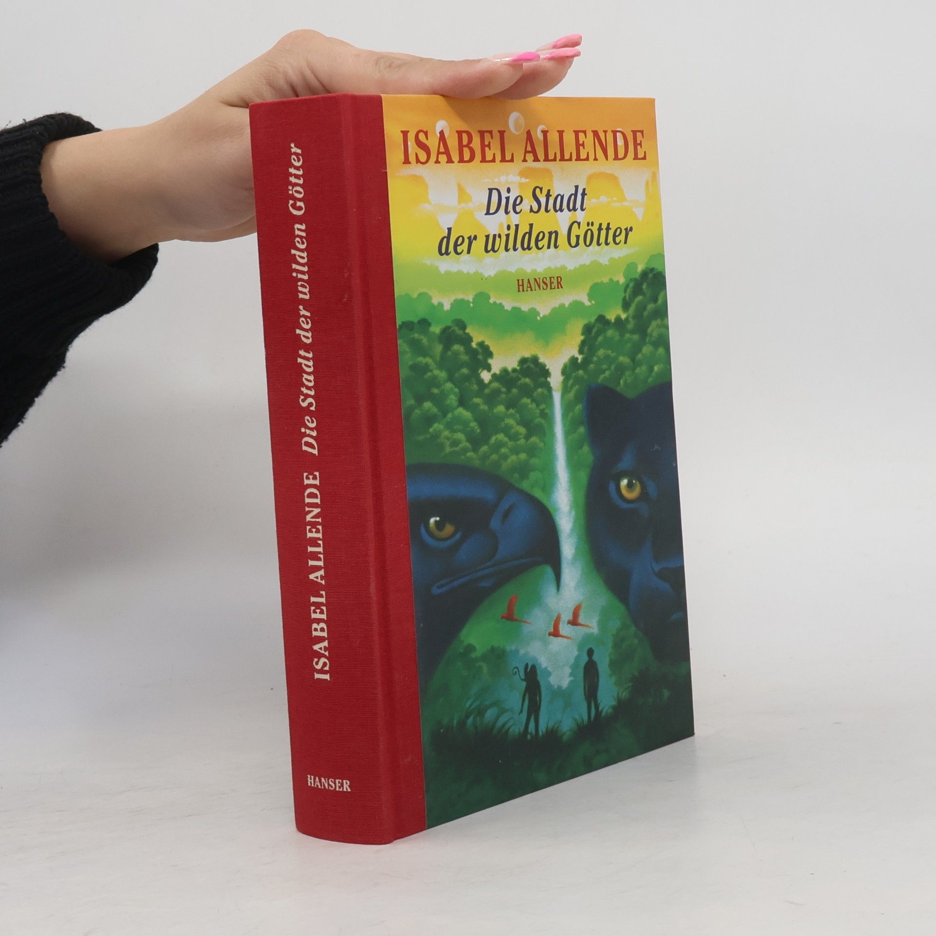 Isabel Allende Die Stadt der wilden Götter
