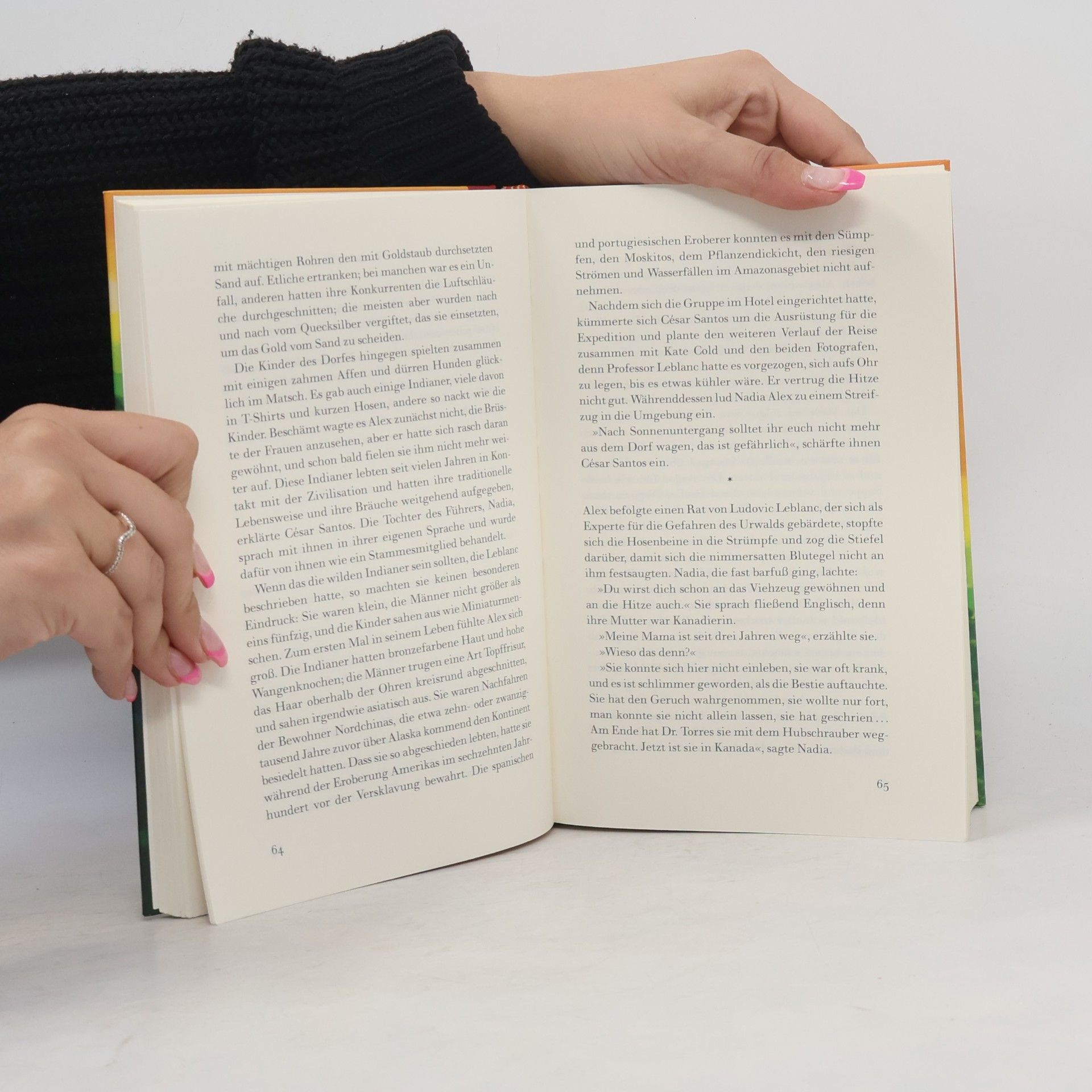 Isabel Allende Die Stadt der wilden Götter