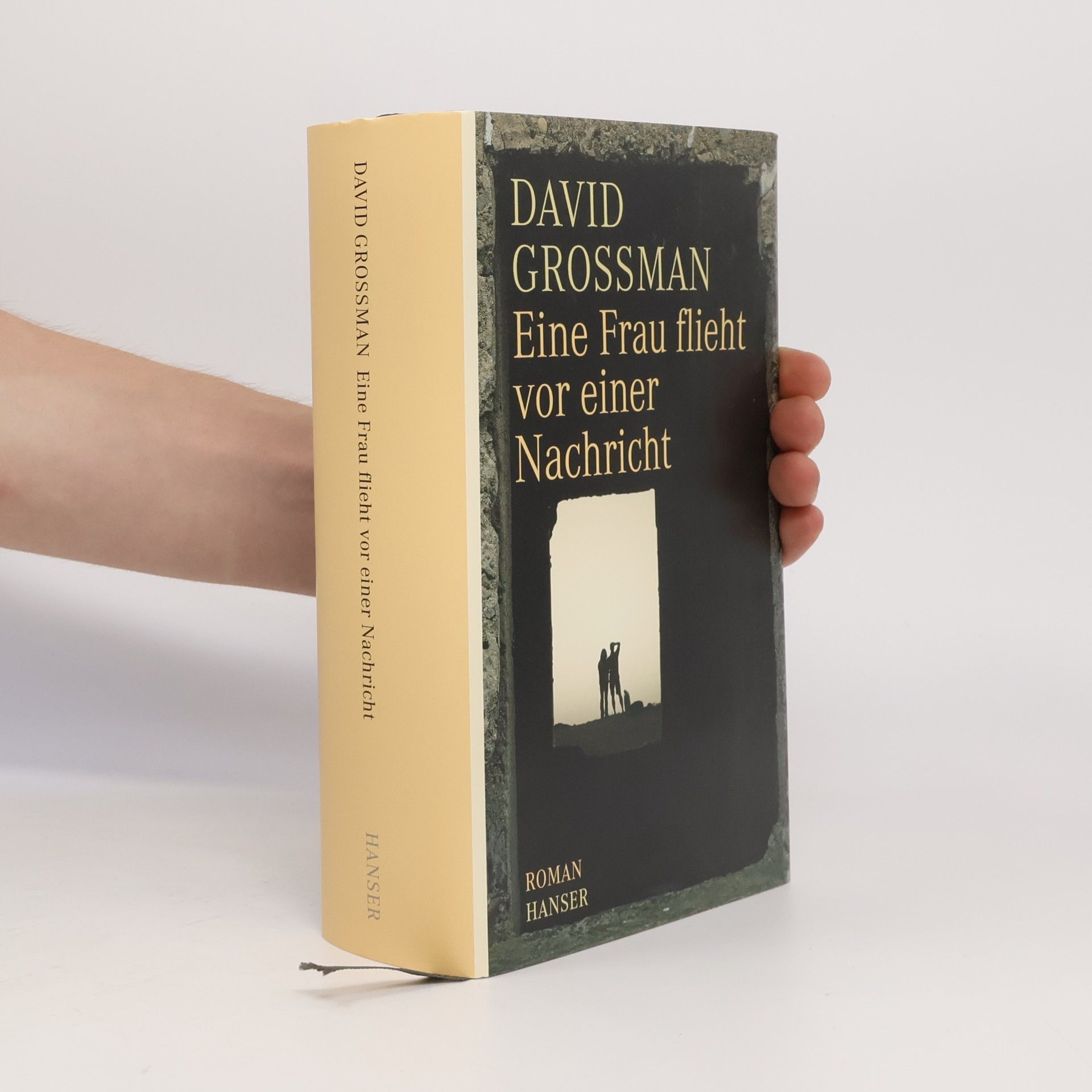 David Grossman Eine Frau flieht vor einer Nachricht