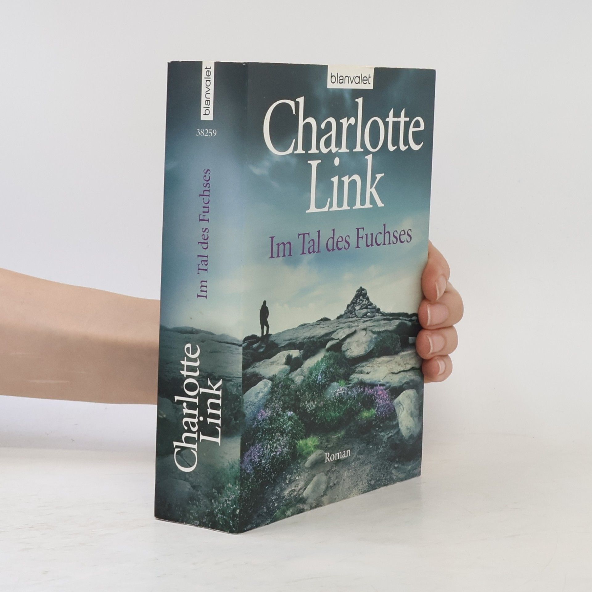 Charlotte Link Im Tal des Fuchses