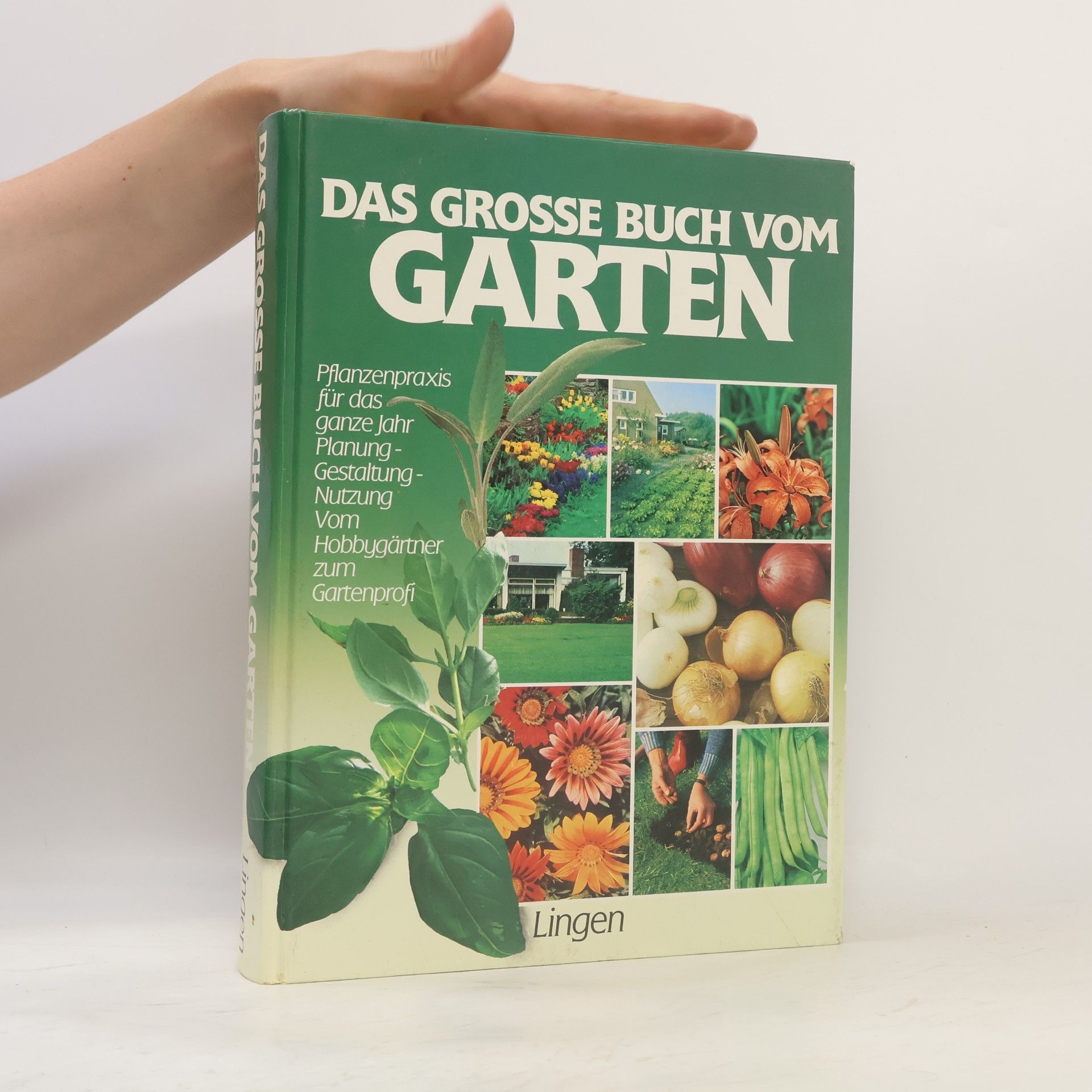 Autorenkollektiv Das grosse Buch vom Garten