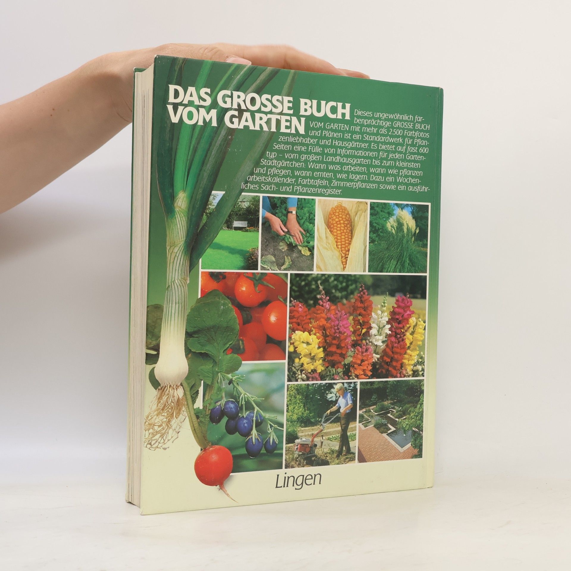 Autorenkollektiv Das grosse Buch vom Garten