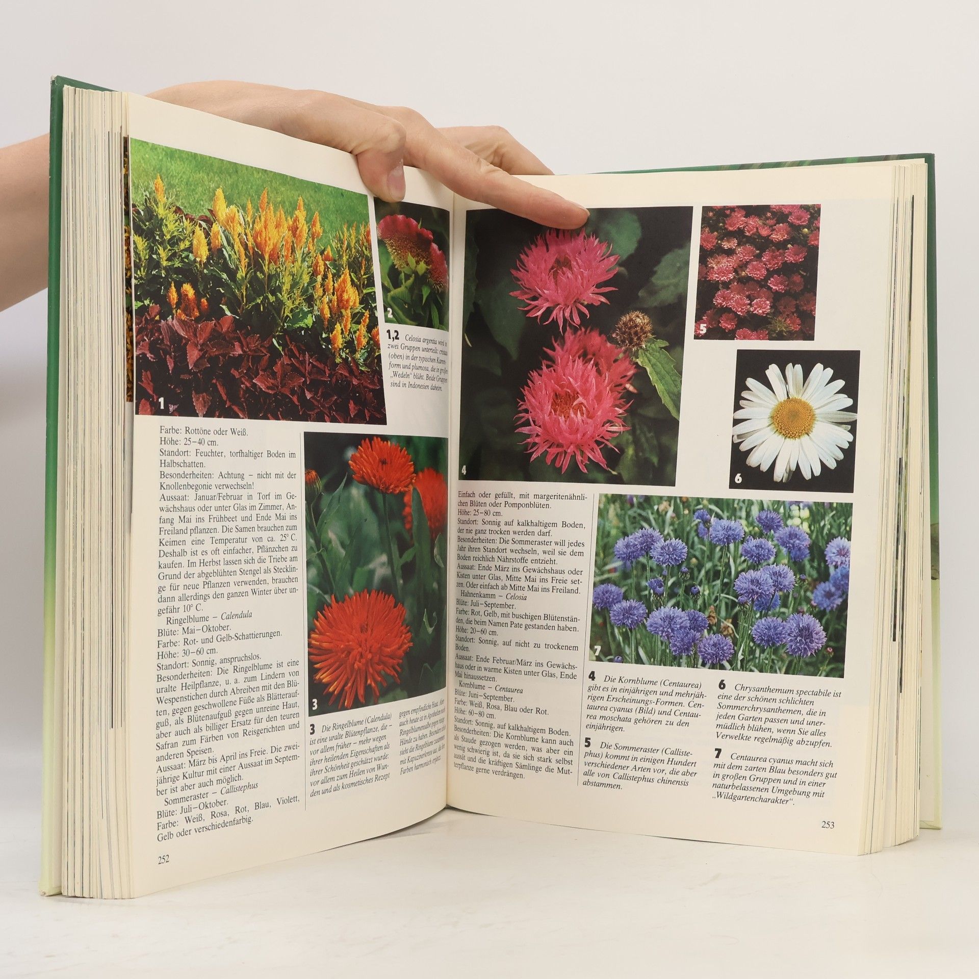 Autorenkollektiv Das grosse Buch vom Garten