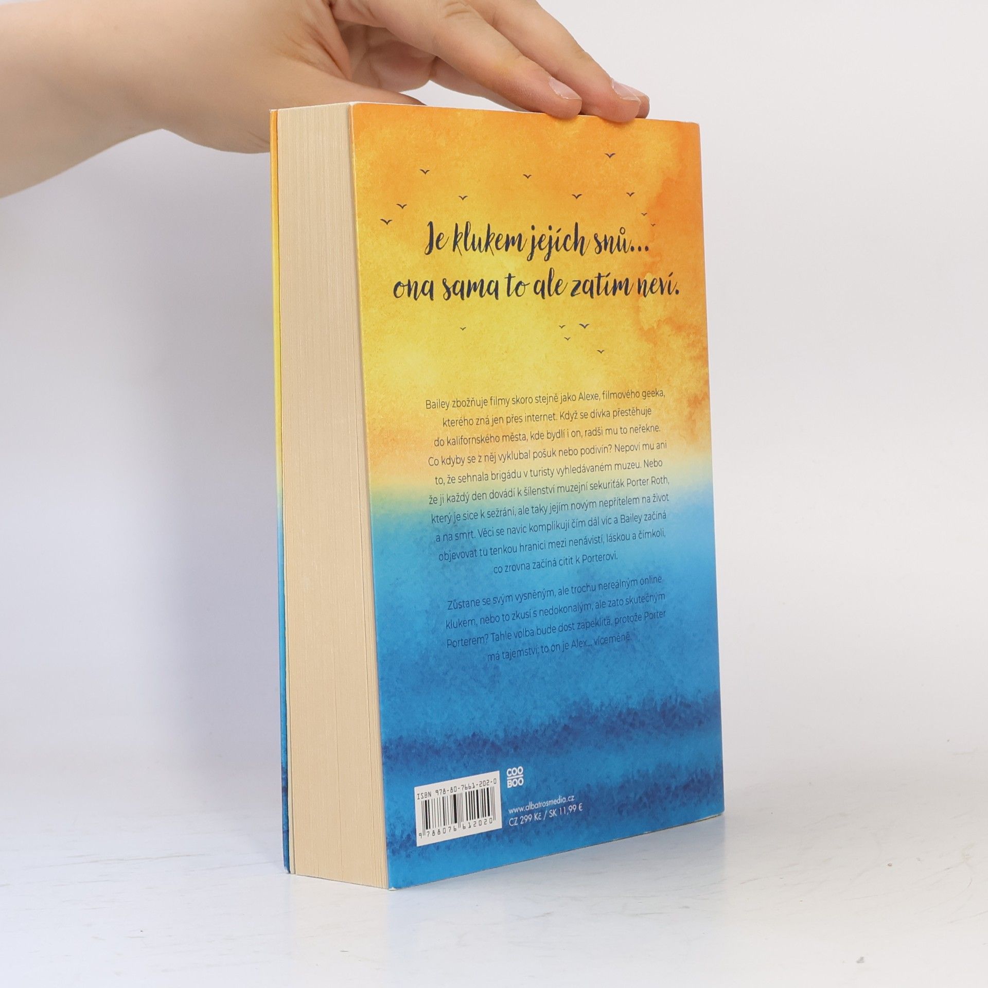 Jenn Bennett Na jedné vlně