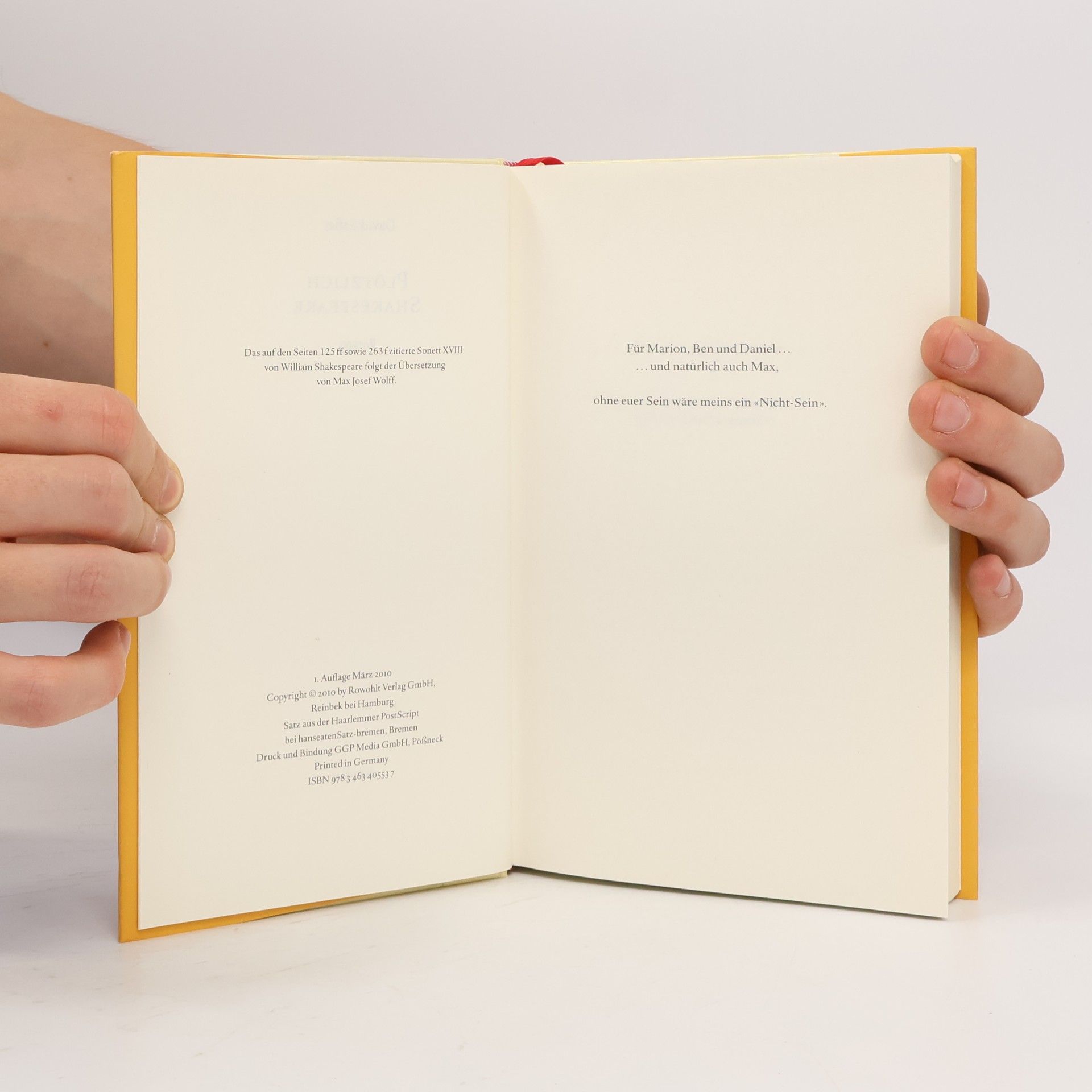 David Safier Plötzlich Shakespeare