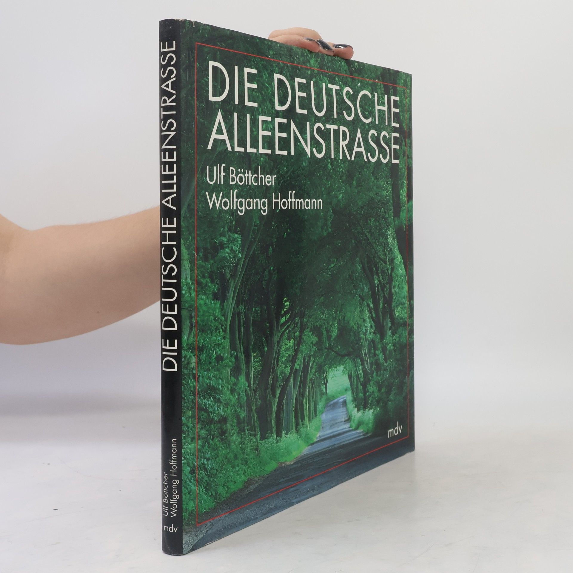 Die deutsche Alleenstrasse