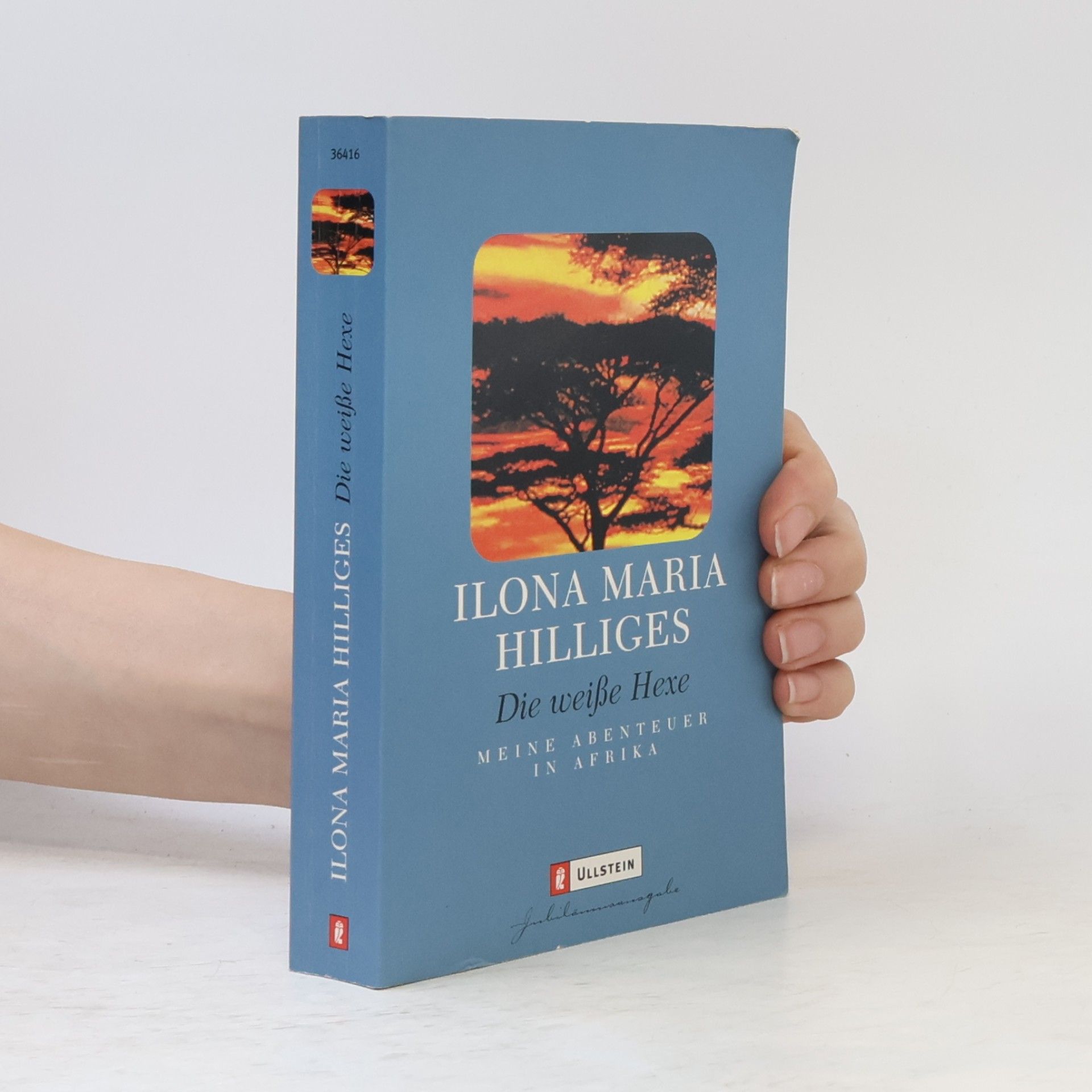 Ilona Maria Hilliges Die weiße Hexe