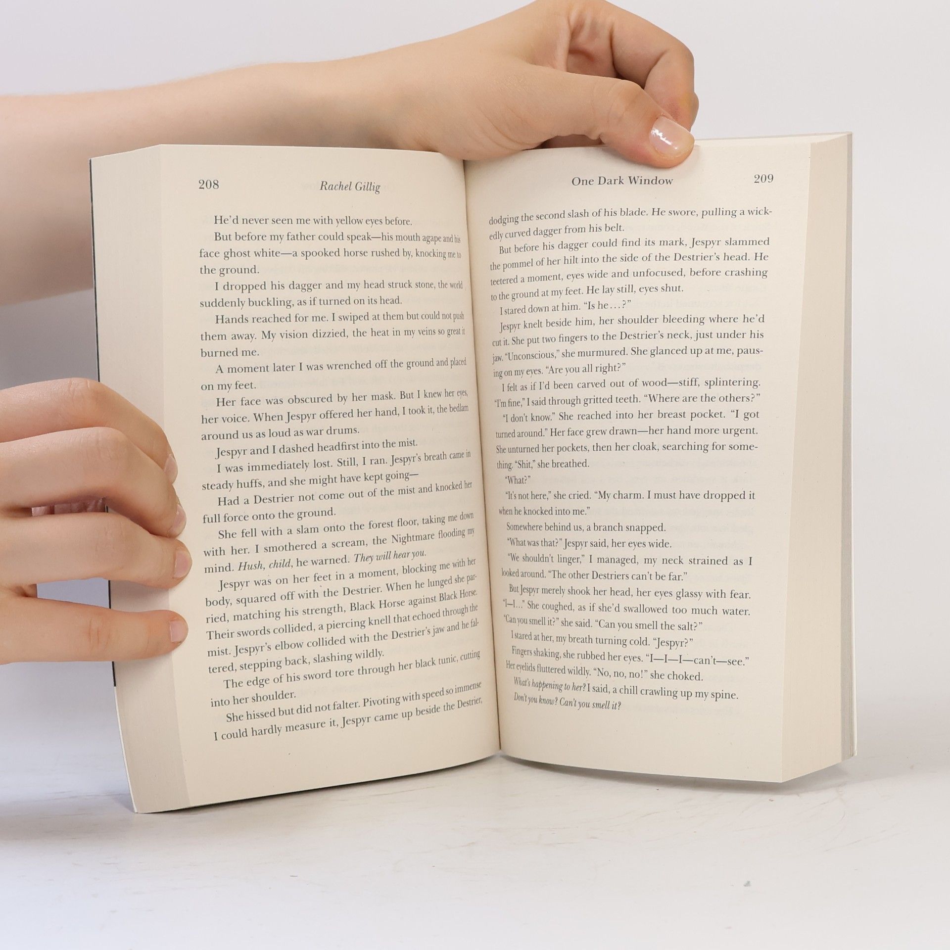 Rachel Gillig One Dark Window
