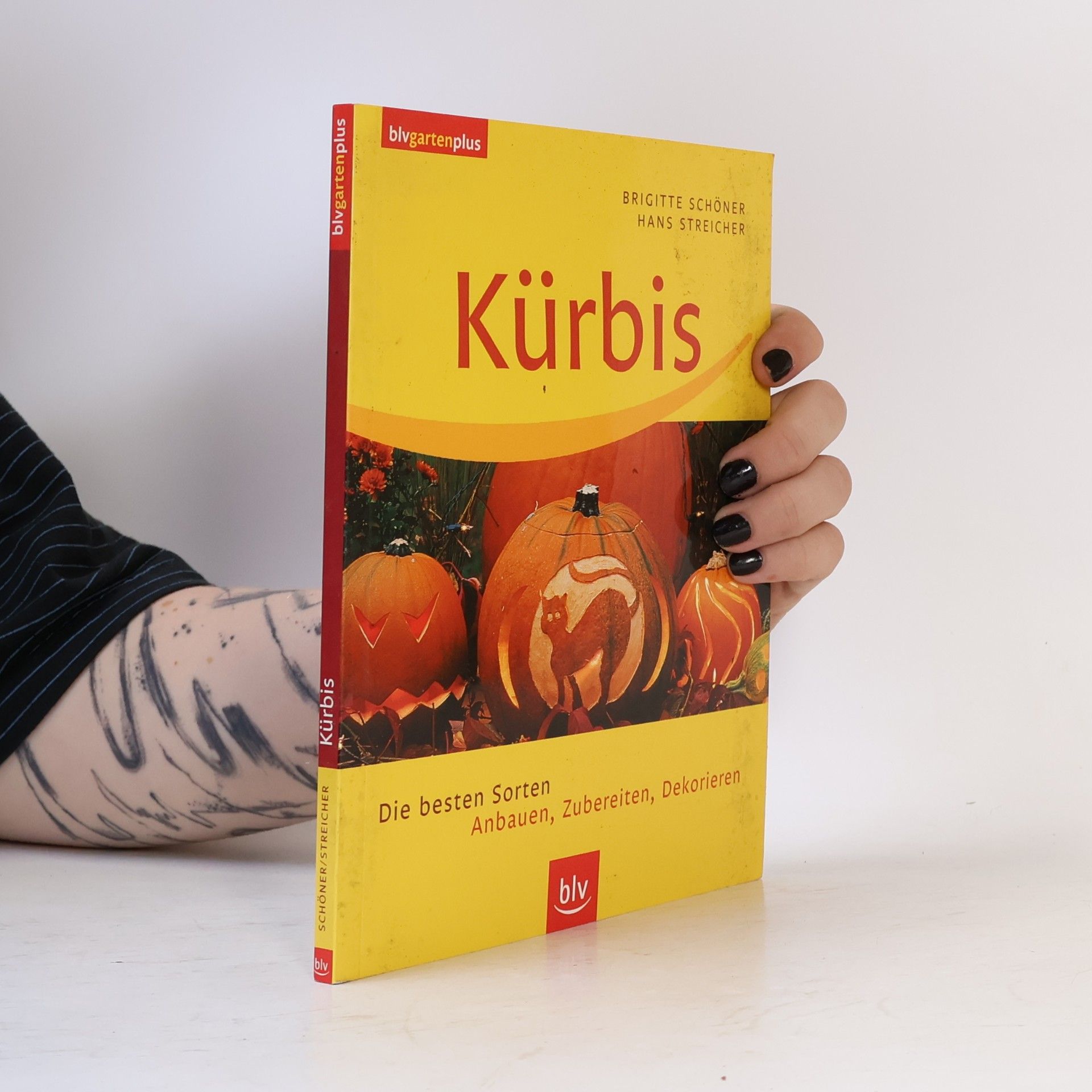 Brigitte Schöner Kürbis