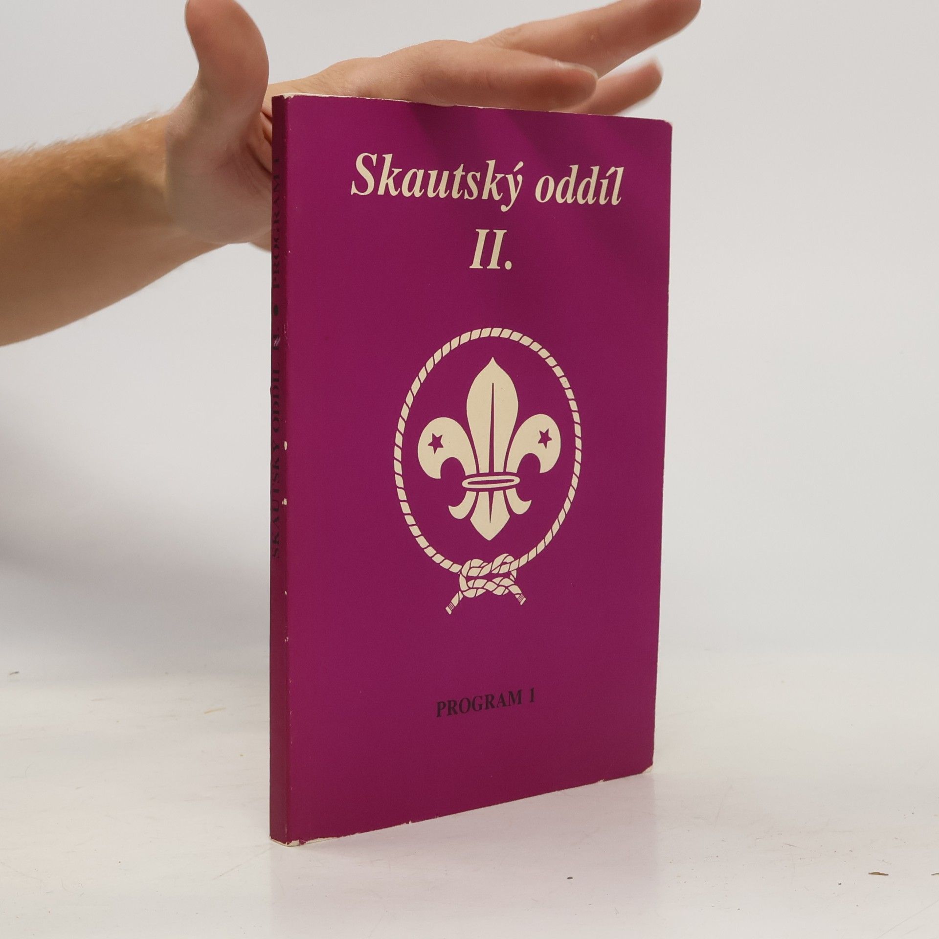 Skautský oddíl. II., Program 2.