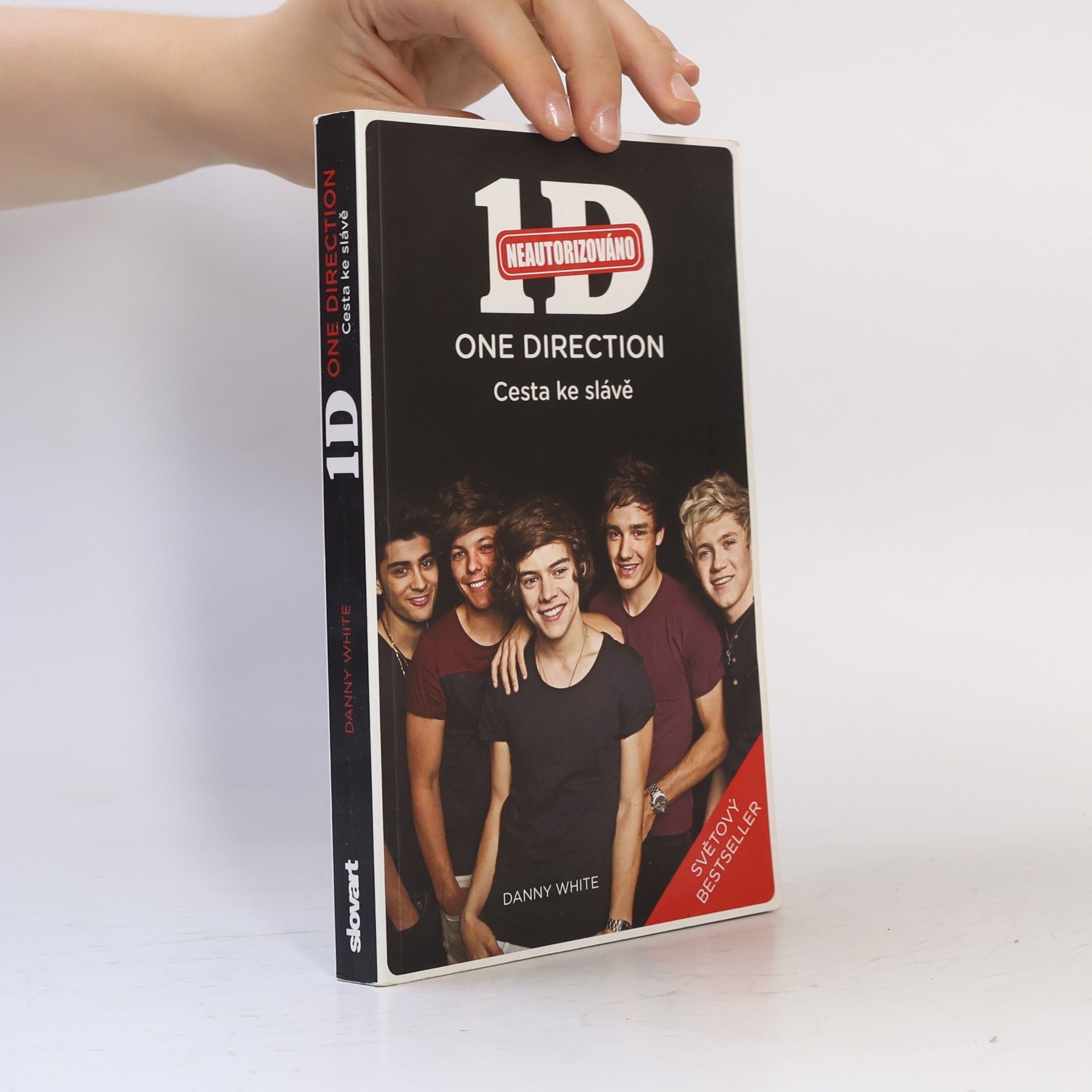 Danny White 1D - One Direction: Cesta ke slávě