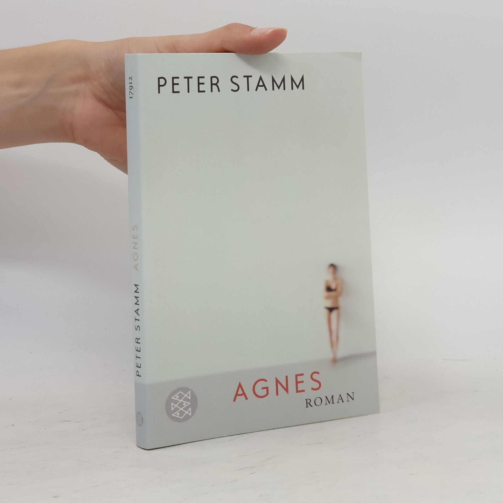 Peter Stamm Agnes