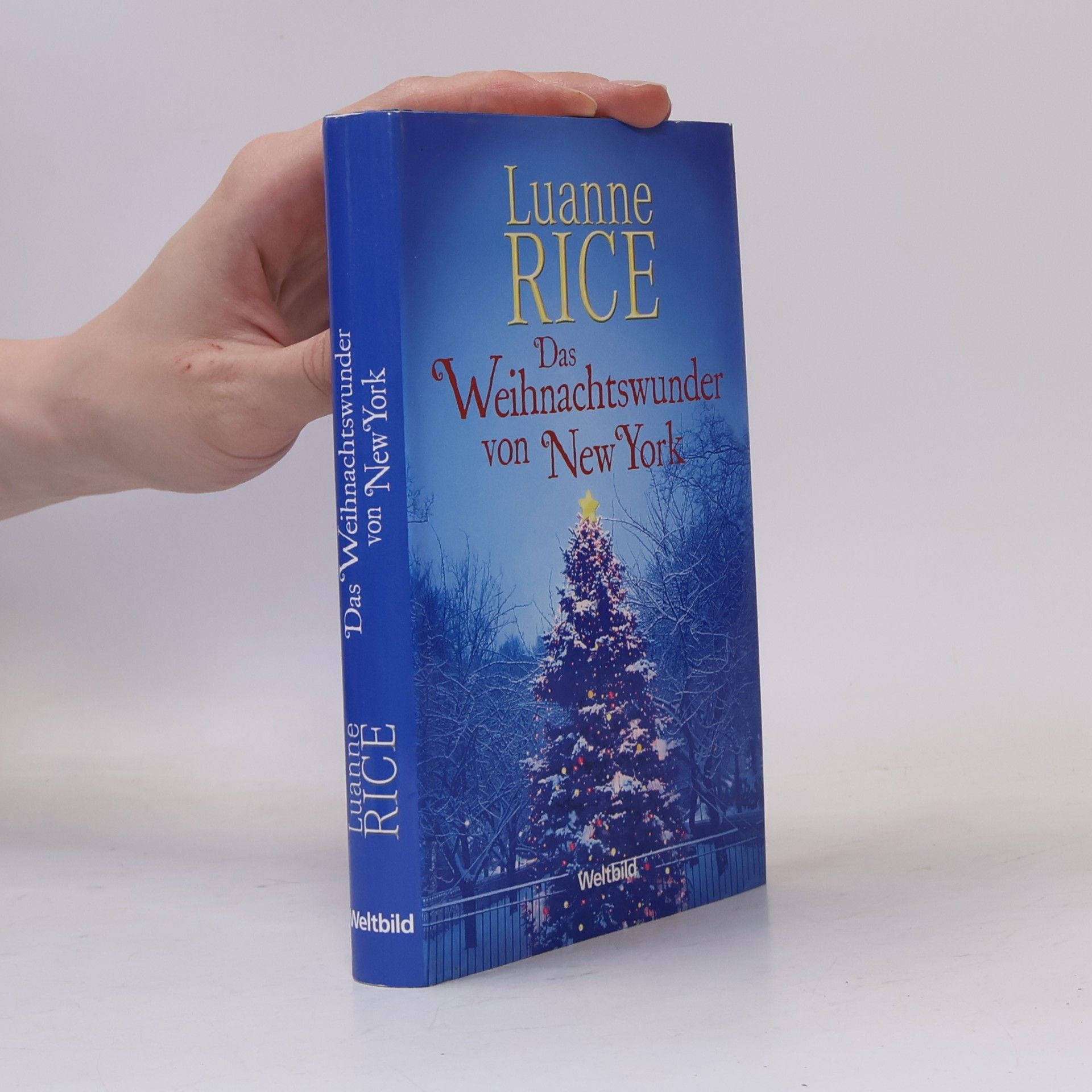 Luanne Rice Das Weihnachtswunder von New York