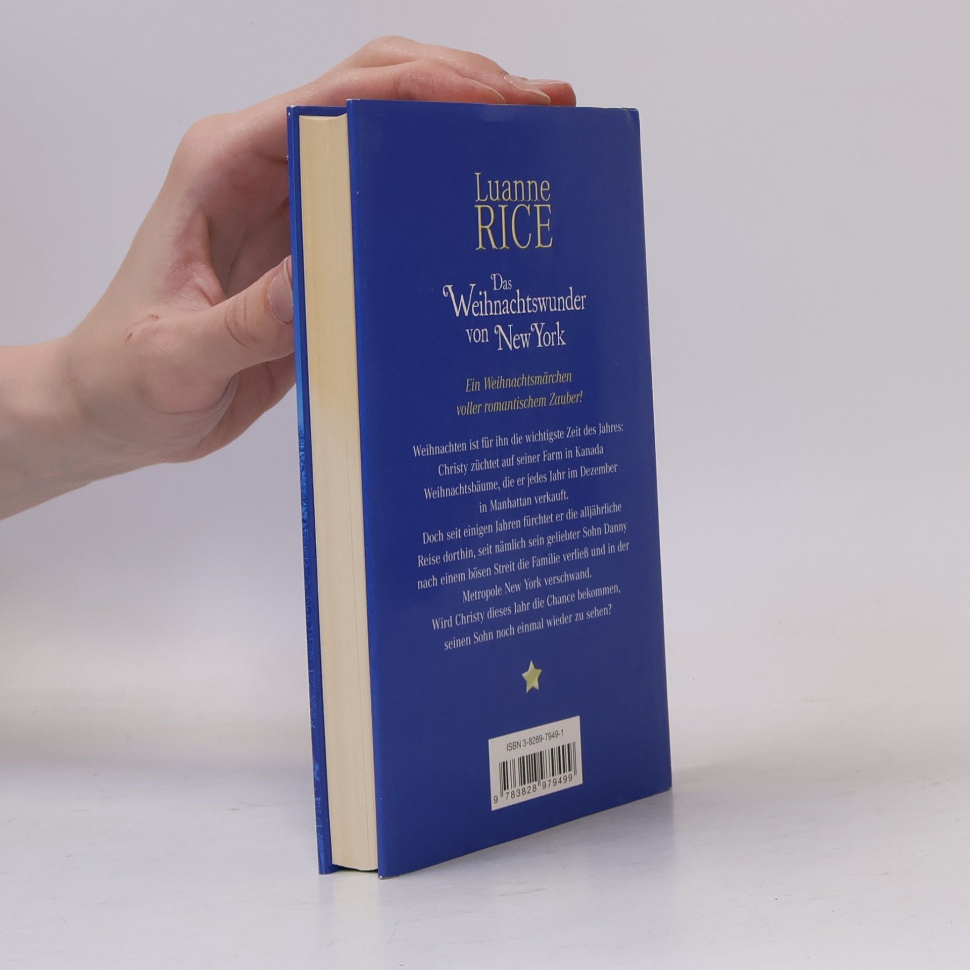 Luanne Rice Das Weihnachtswunder von New York