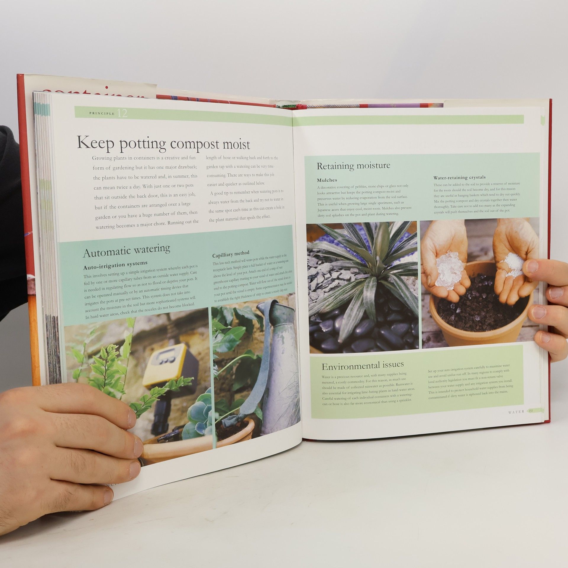 Paul Williams Container Gardening