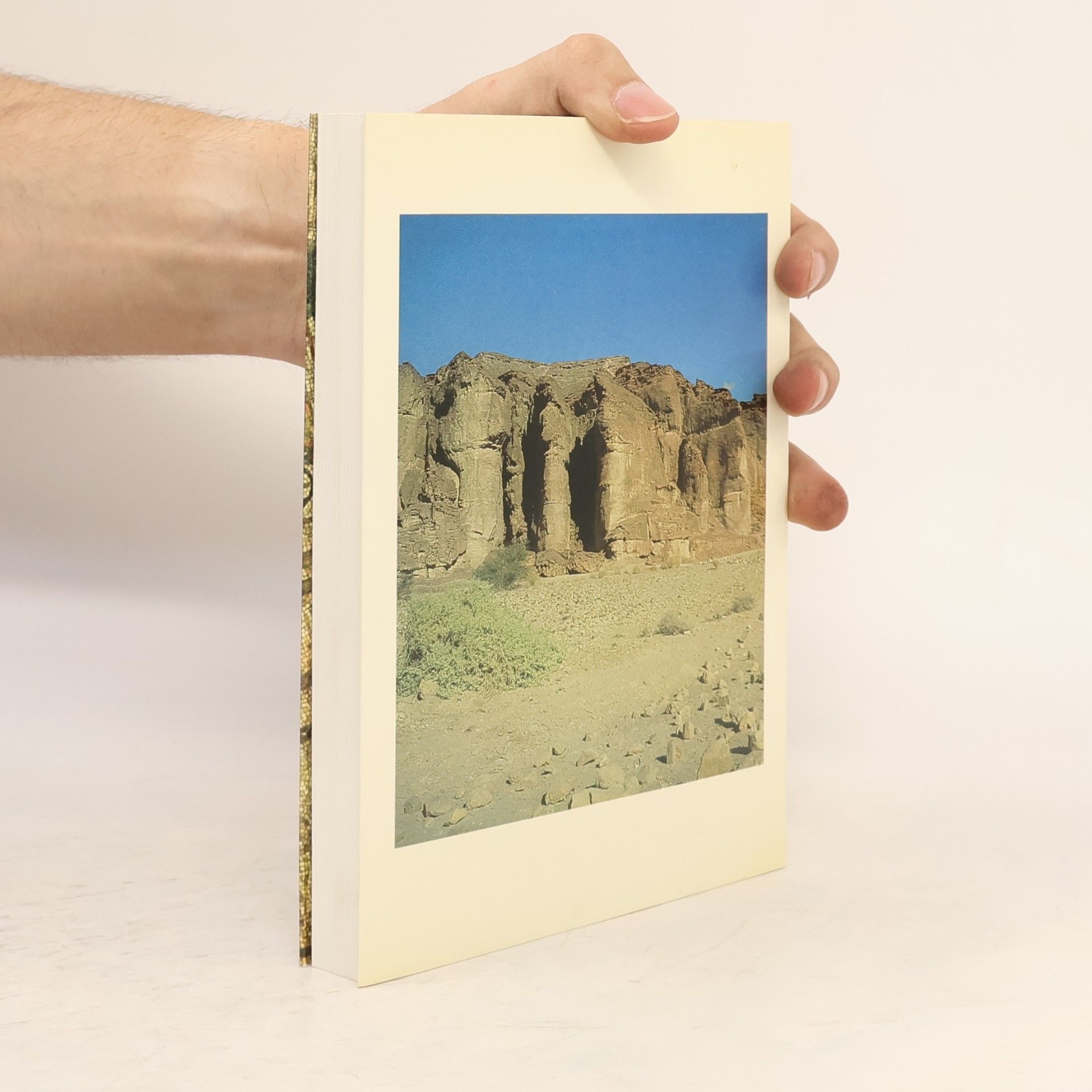 Miriam Magall Archäologie und Bibel
