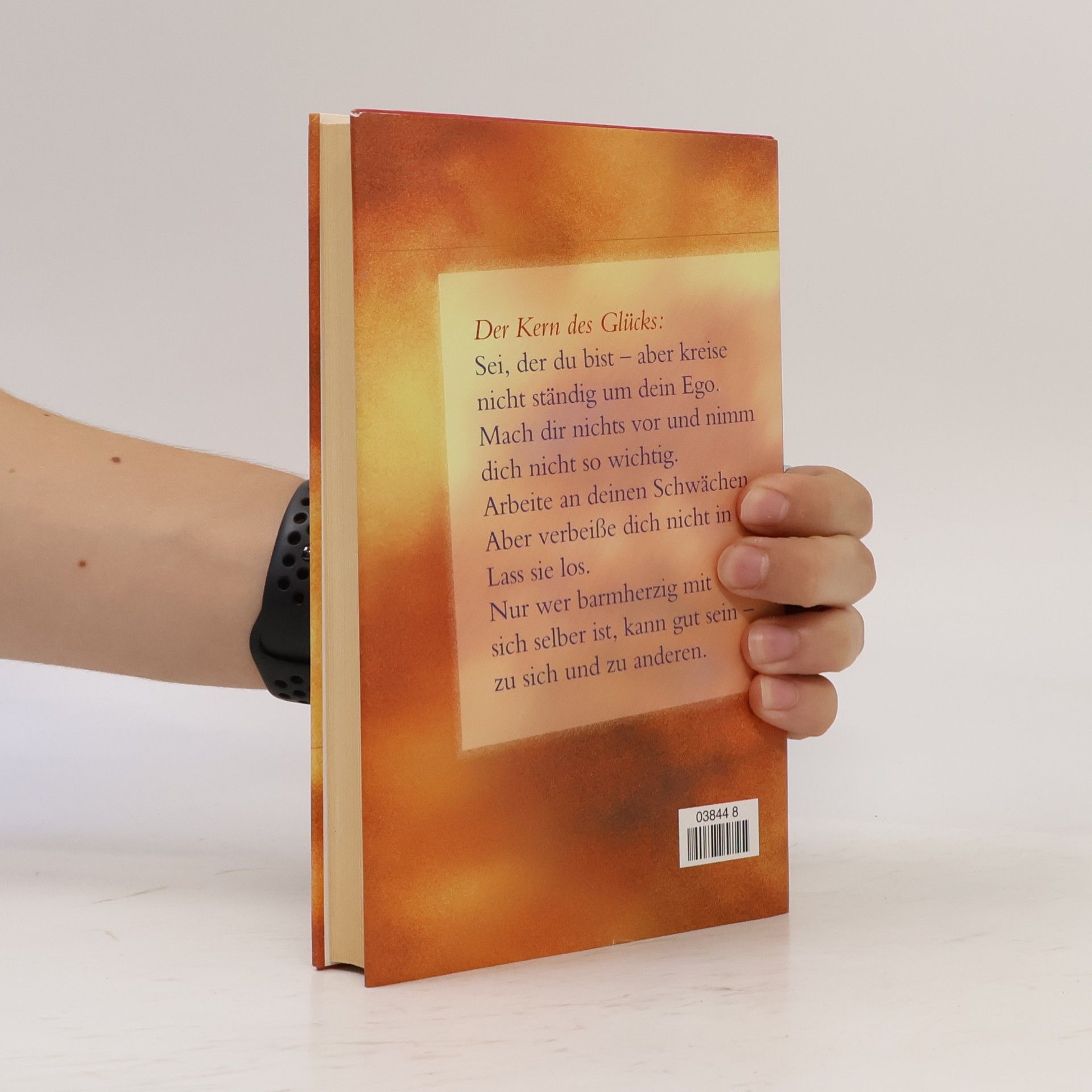 Anselm Grün Buch der Lebenskunst