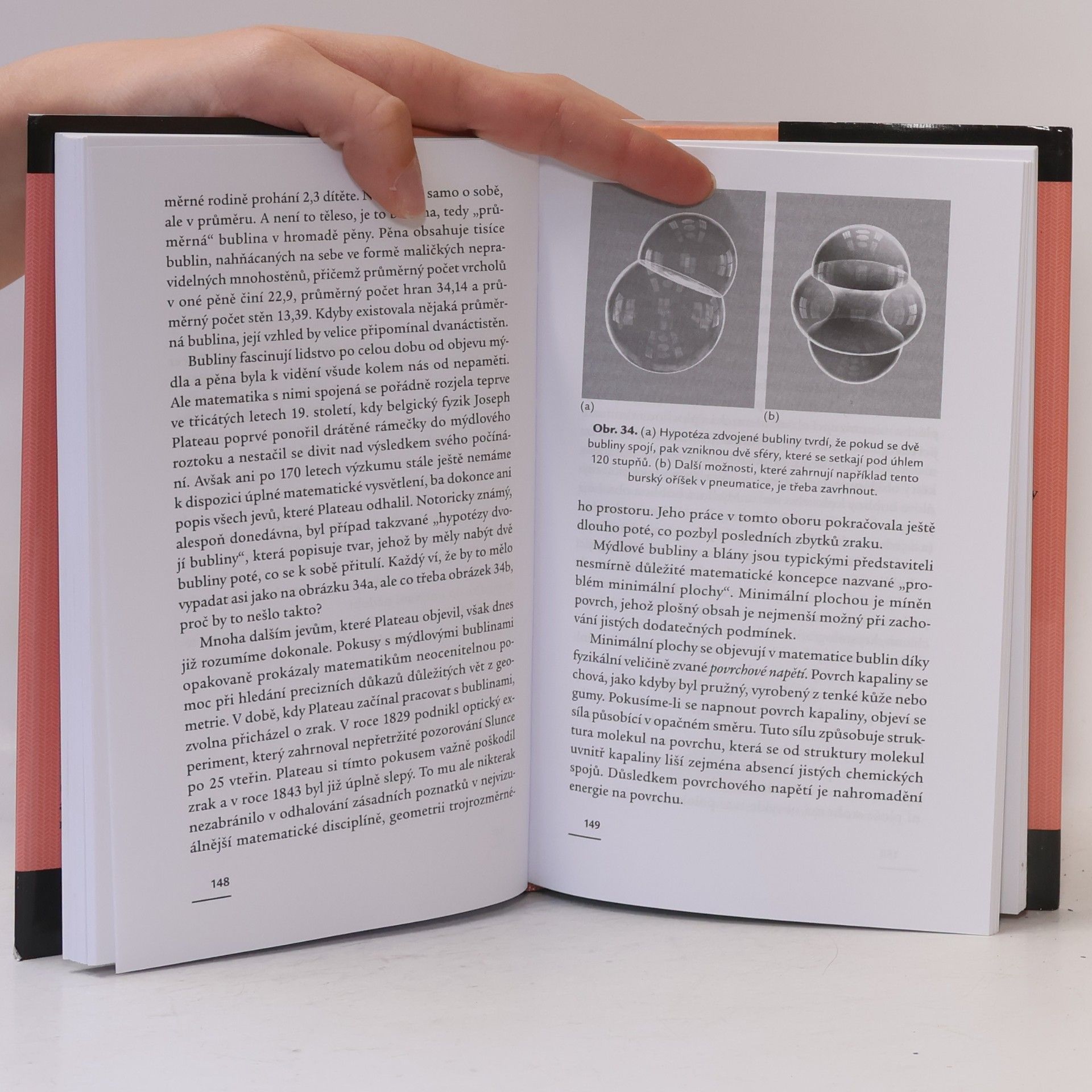 Ian Stewart Jak rozkrájet dort a další matematické záhady