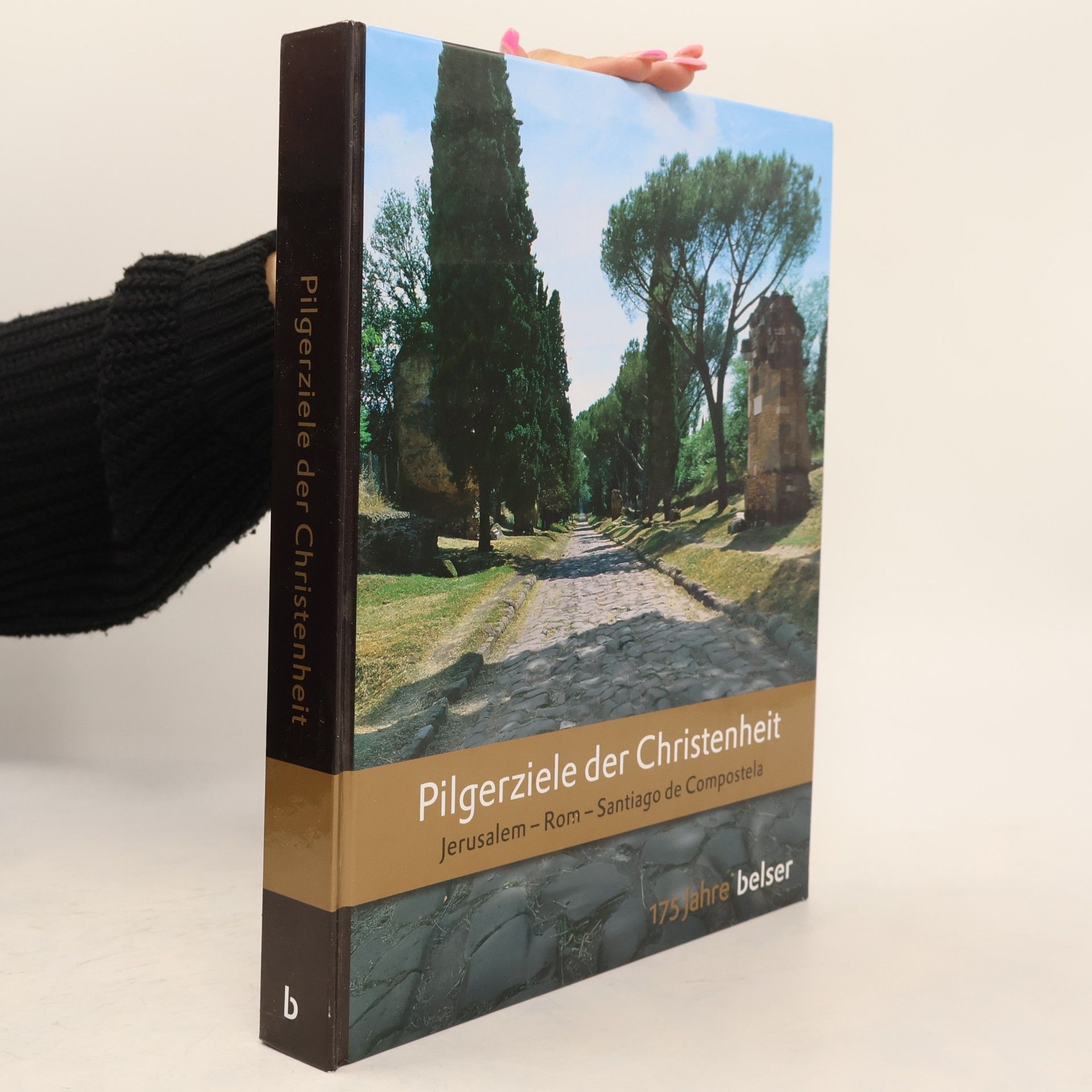 Paolo Caucci Pilgerziele der Christenheit