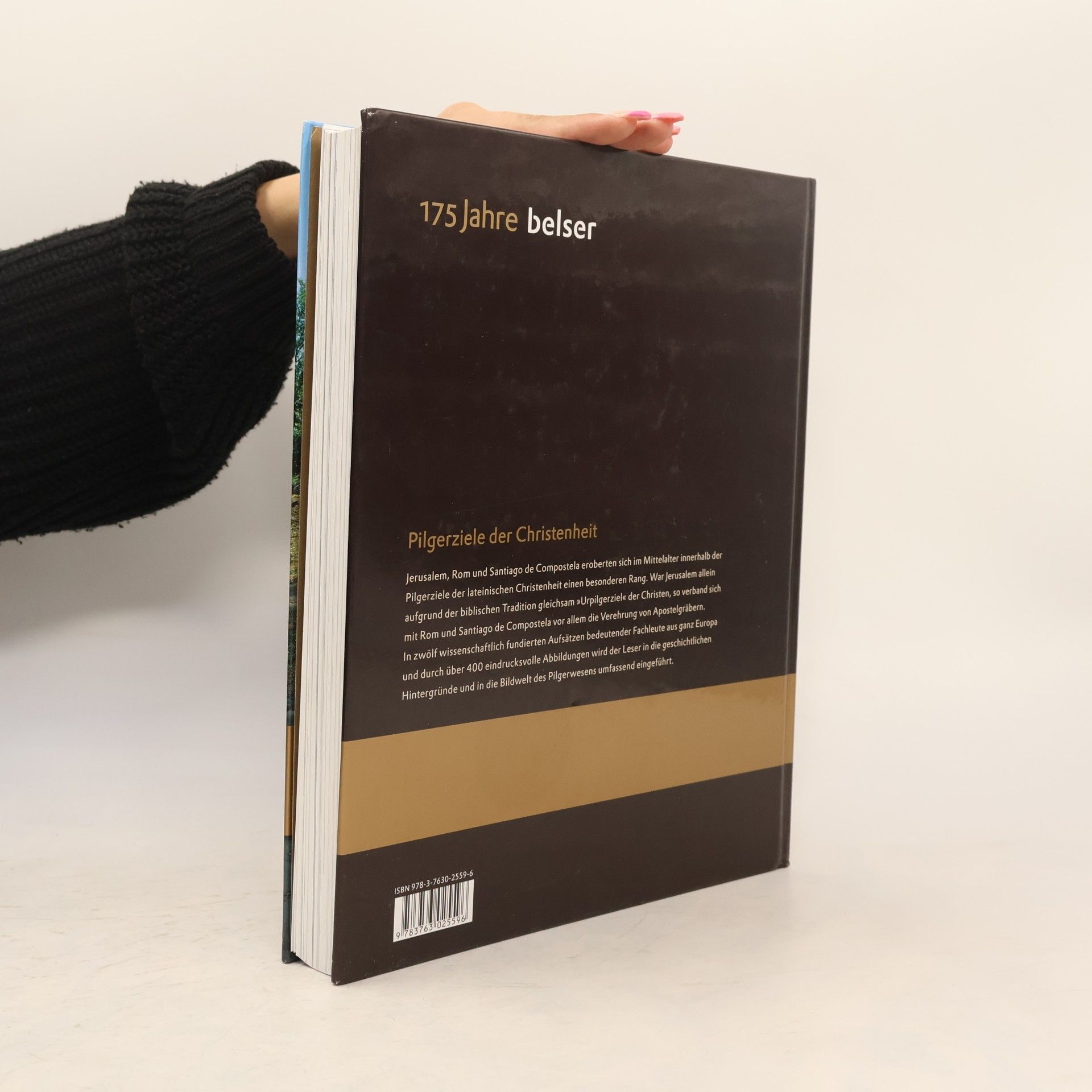 Paolo Caucci Pilgerziele der Christenheit