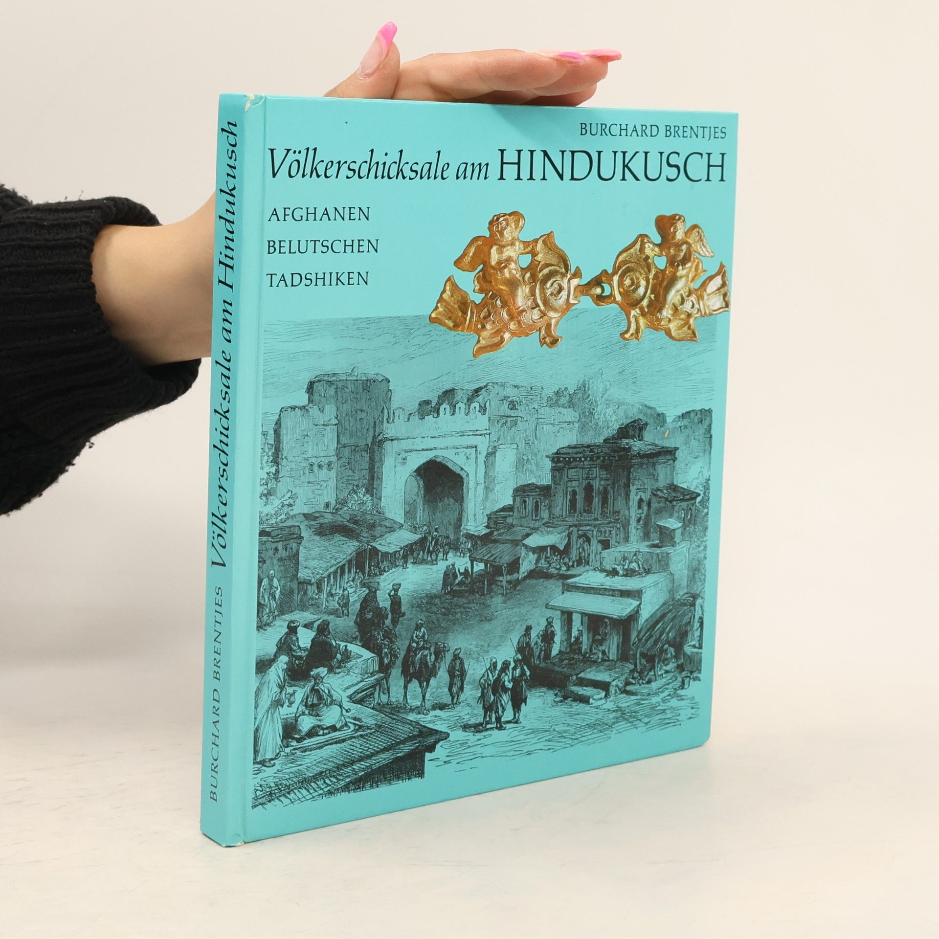 Burchard Brentjes Völkerschicksale am Hindukusch