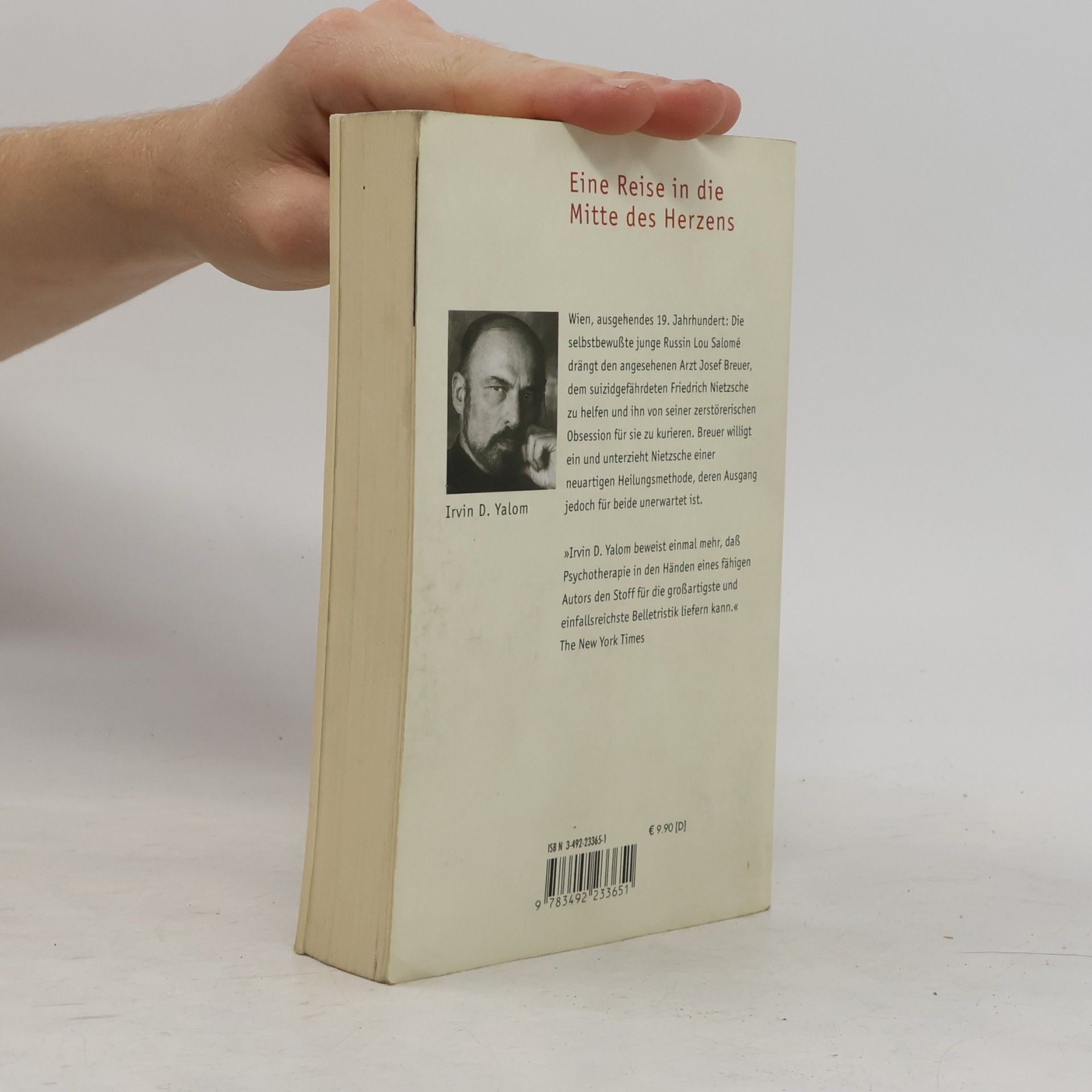 Irvin Yalom Und Nietzsche weinte