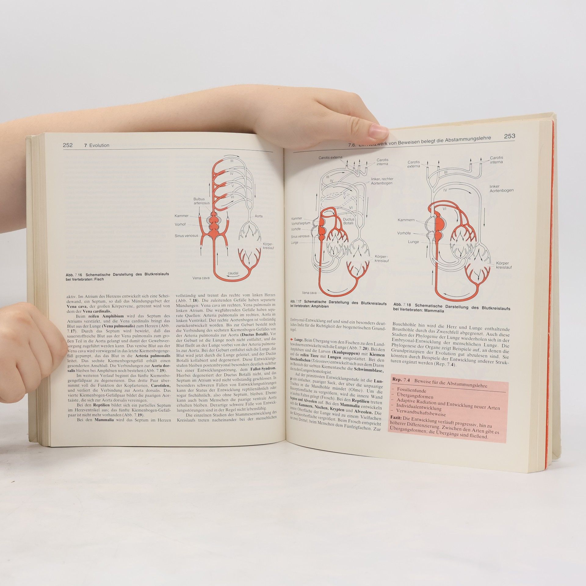 Monica Hirsch Kauffmann Biologie für Mediziner und Naturwissenschaftler