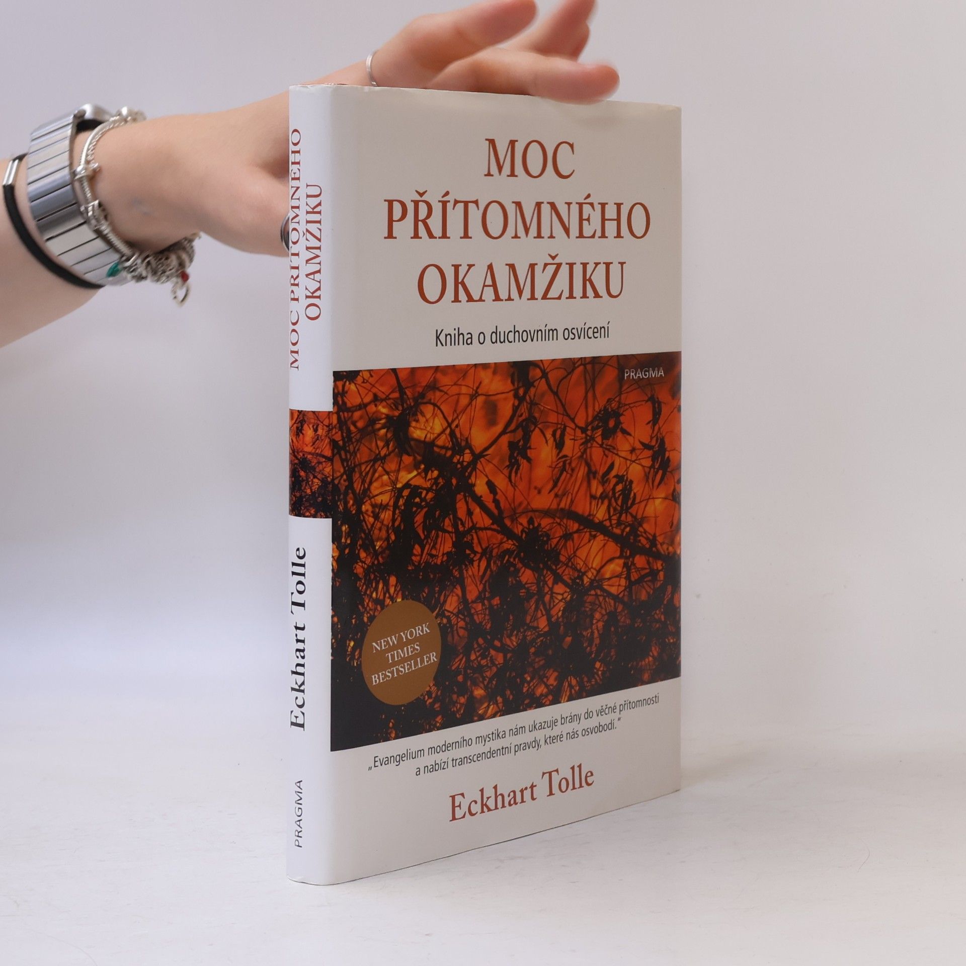 Eckhart Tolle Moc přítomného okamžiku