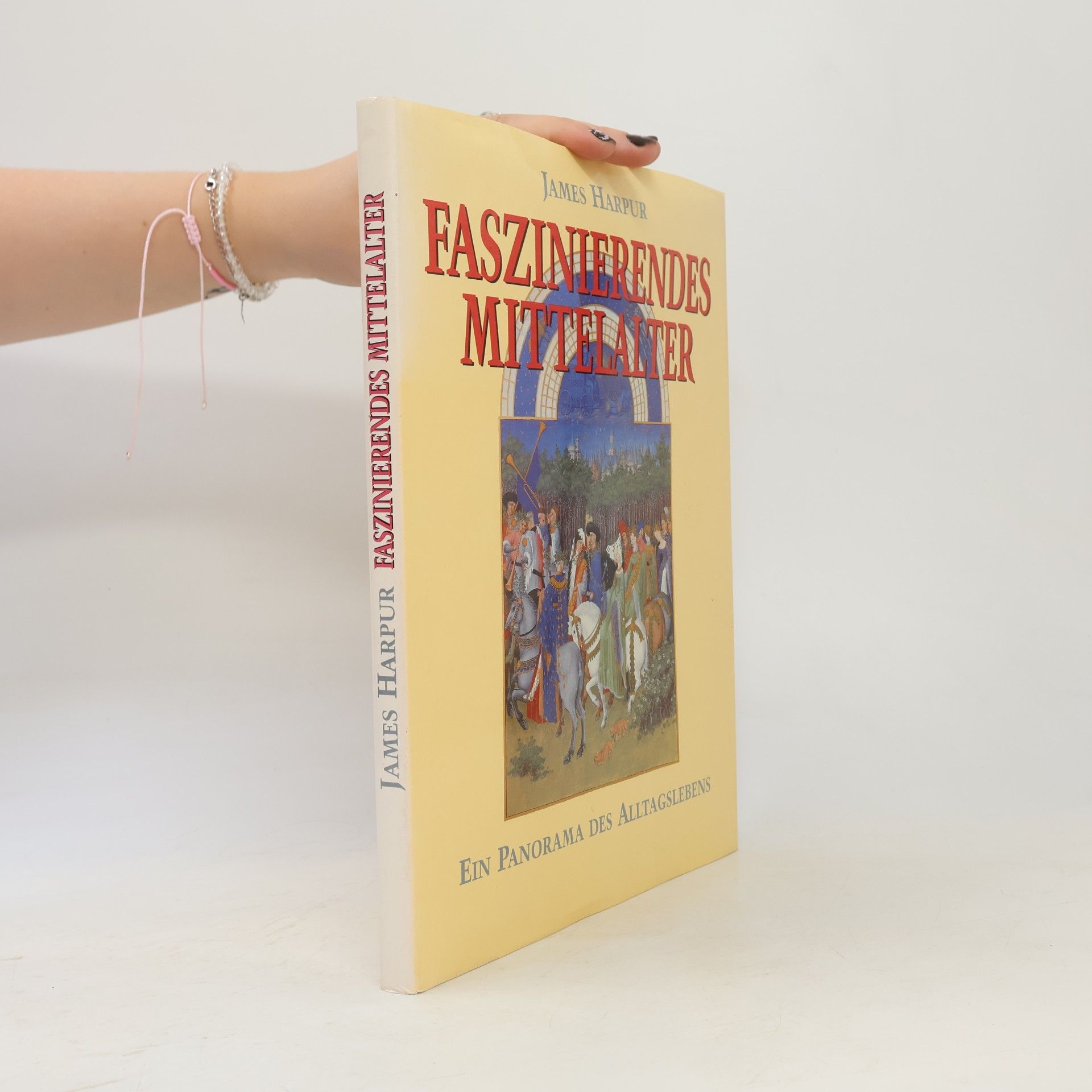 James Harpur Faszinierendes Mittelalter. Ein Panorama des Alltagslebens