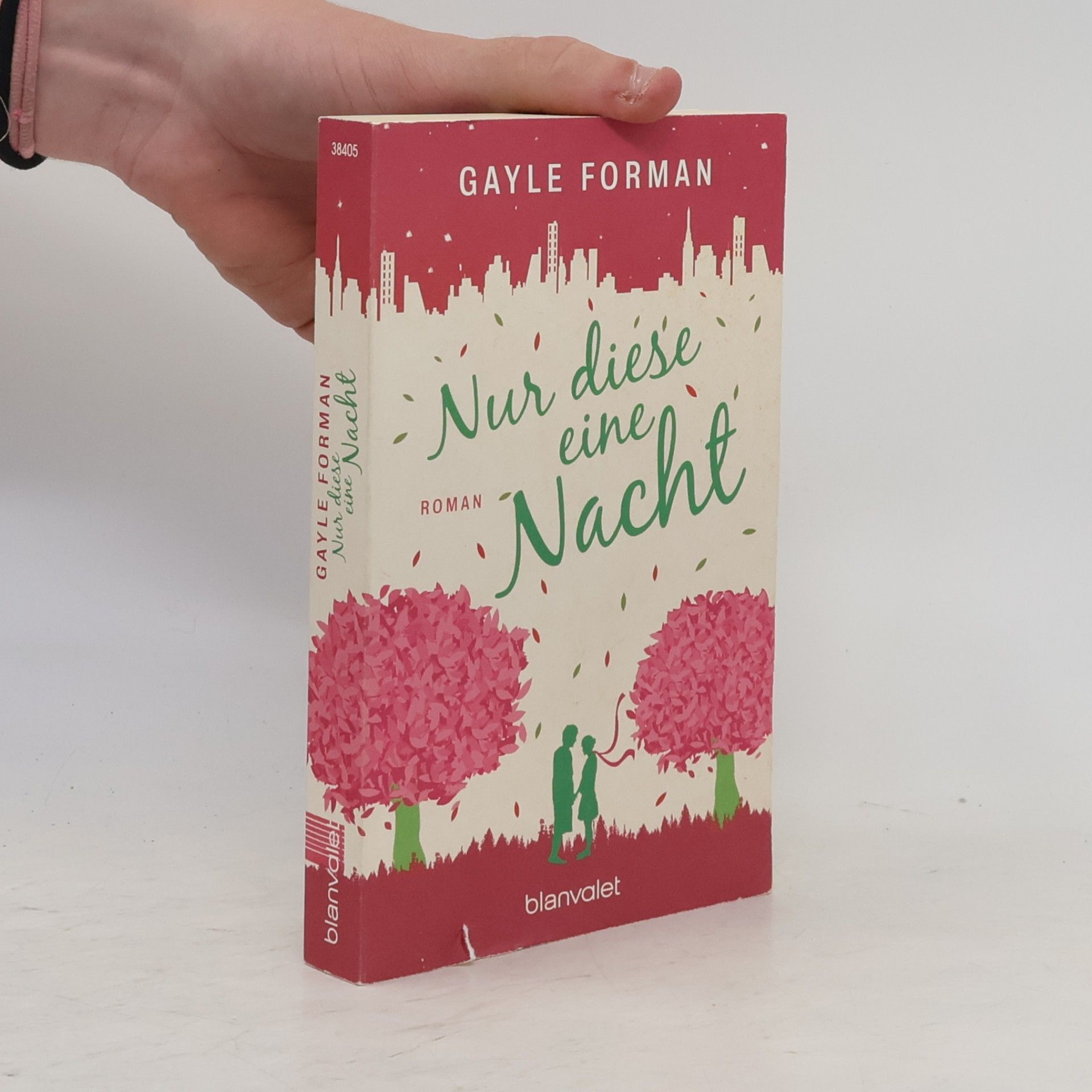 Gayle Forman Nur diese eine Nacht