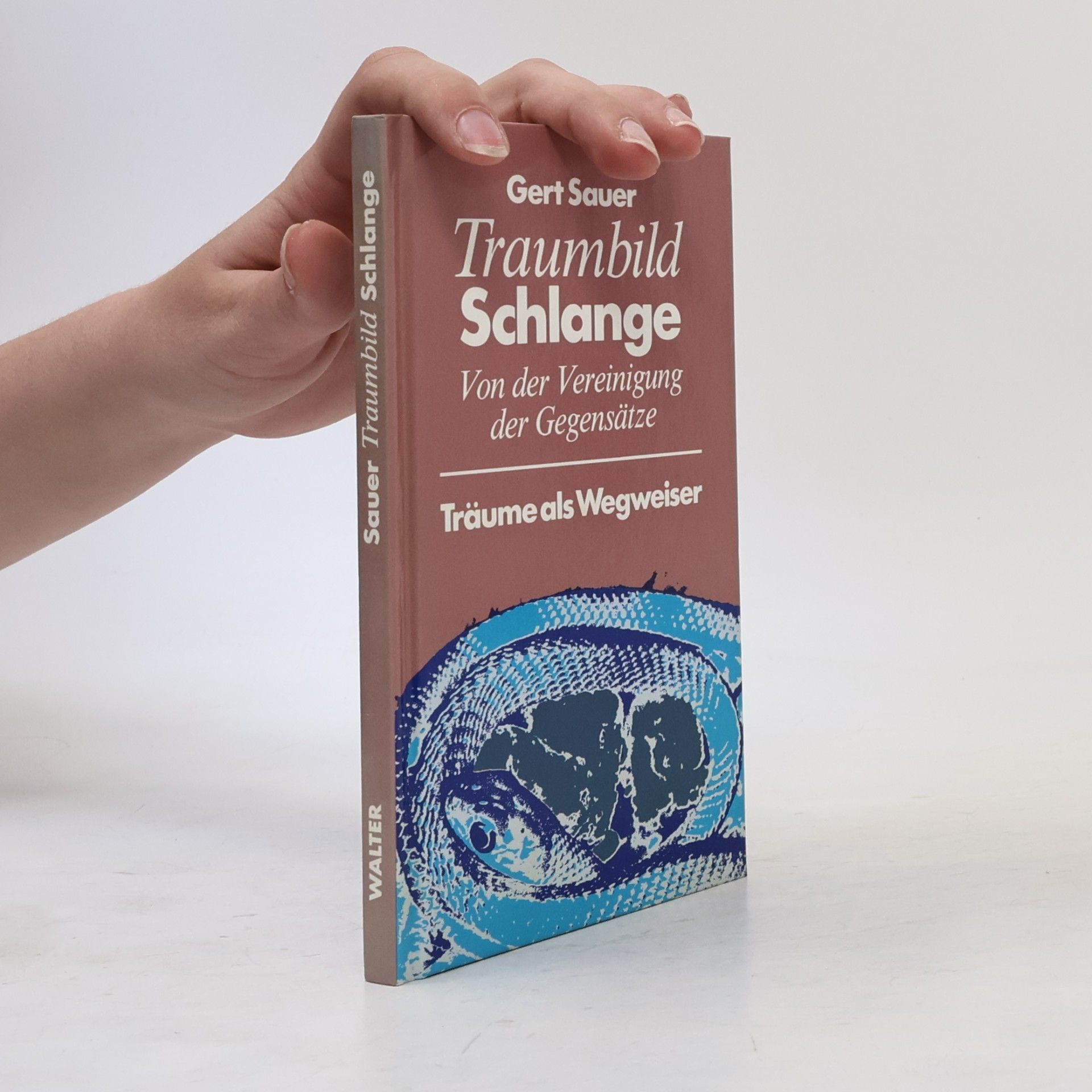 Gert Sauer Traumbild Schlange