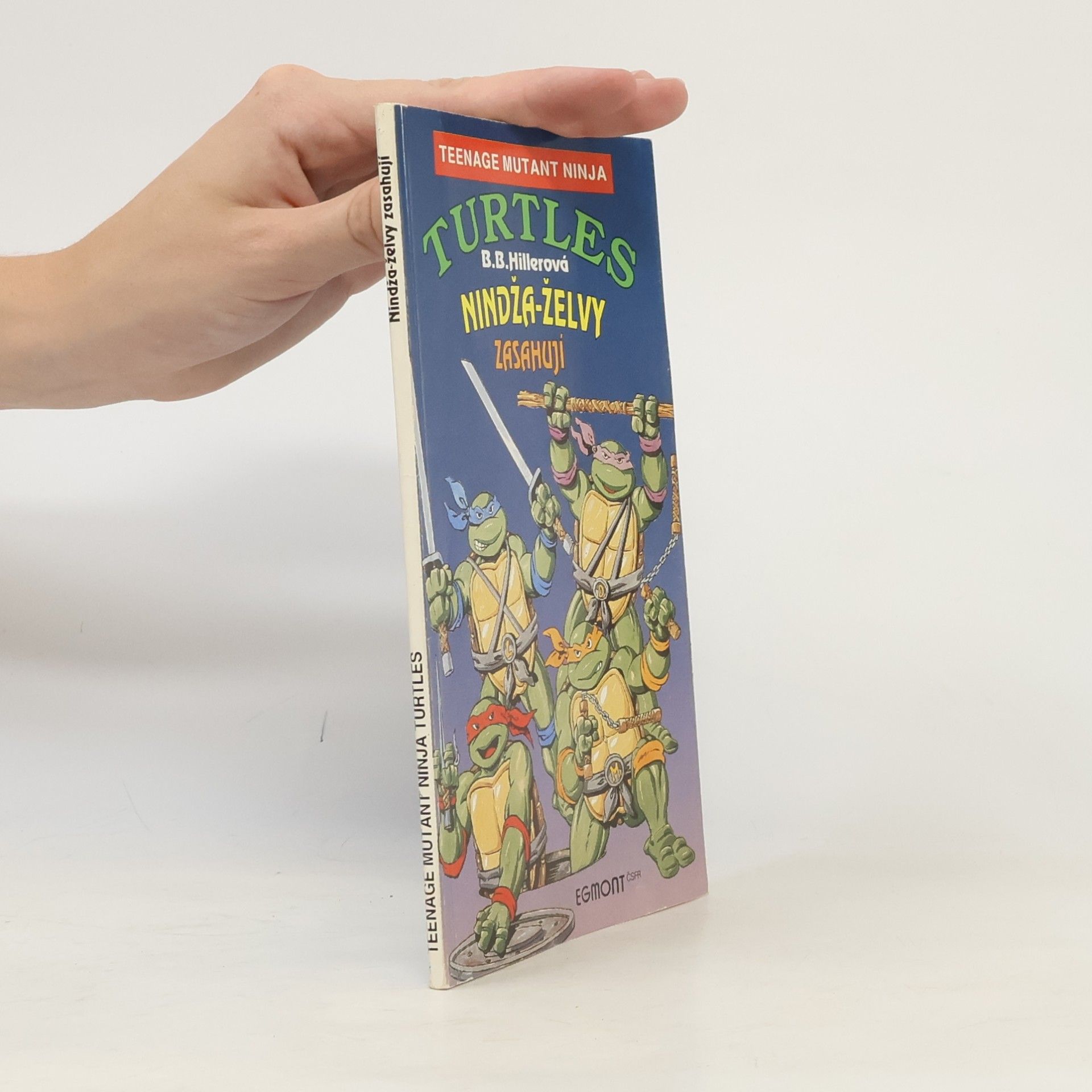 Bonnie Bryant Teenage Mutant Ninja Turtles: Nindža-želvy zasahují