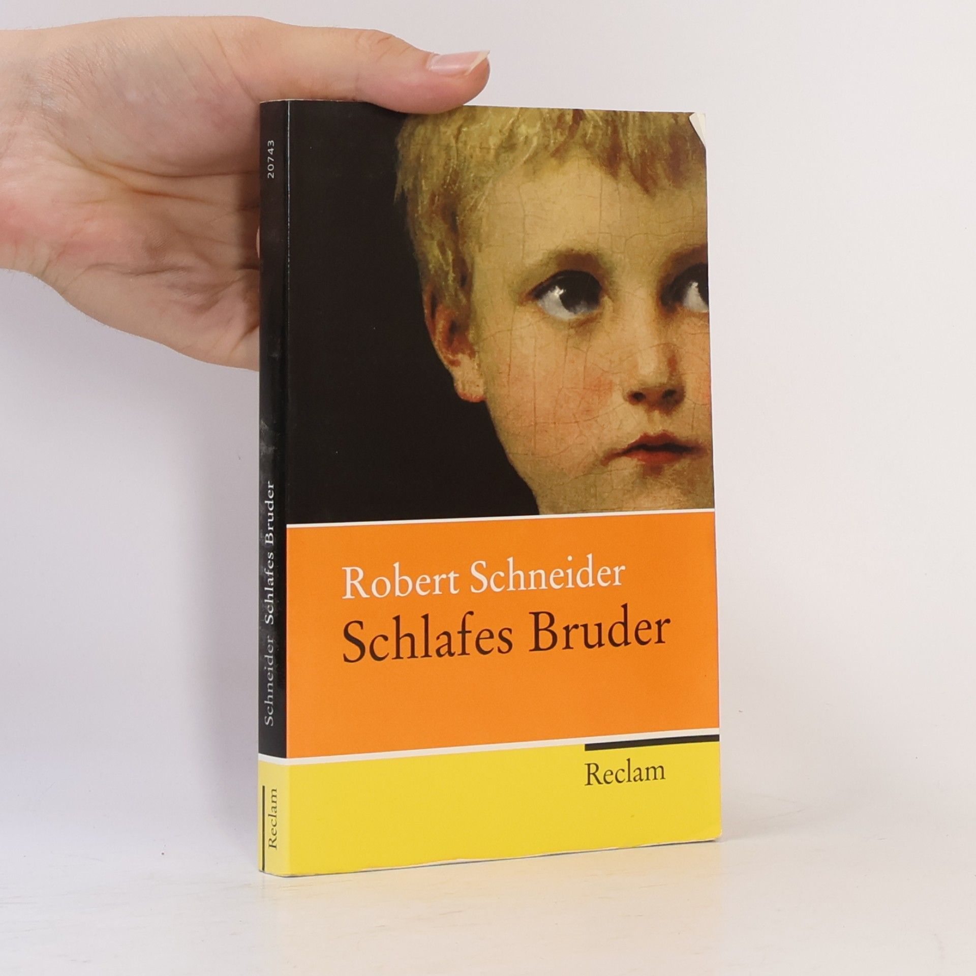 Robert Schneider Schlafes Bruder