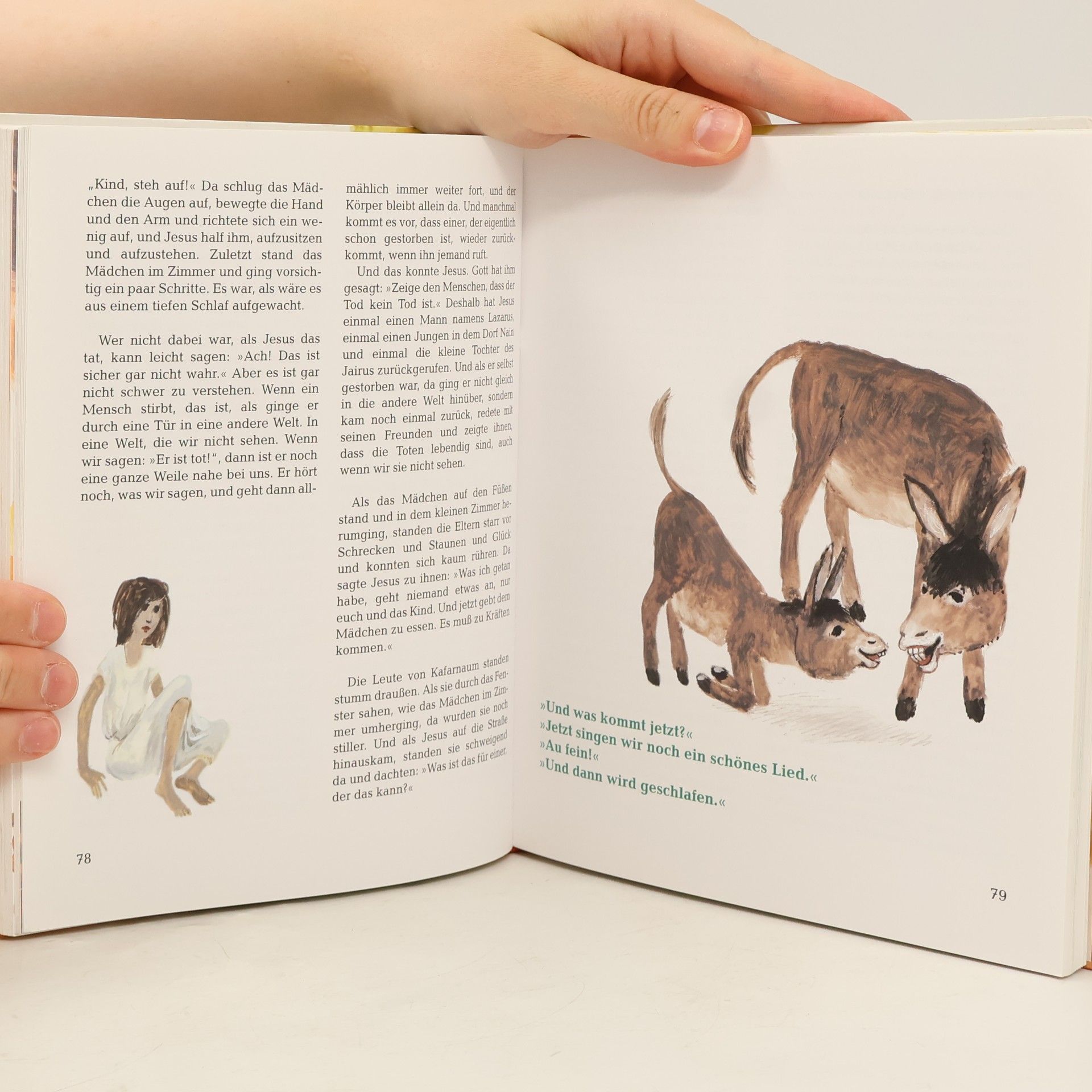 Jörg Zink Der Morgen weiß mehr als der Abend. Kinderbibel