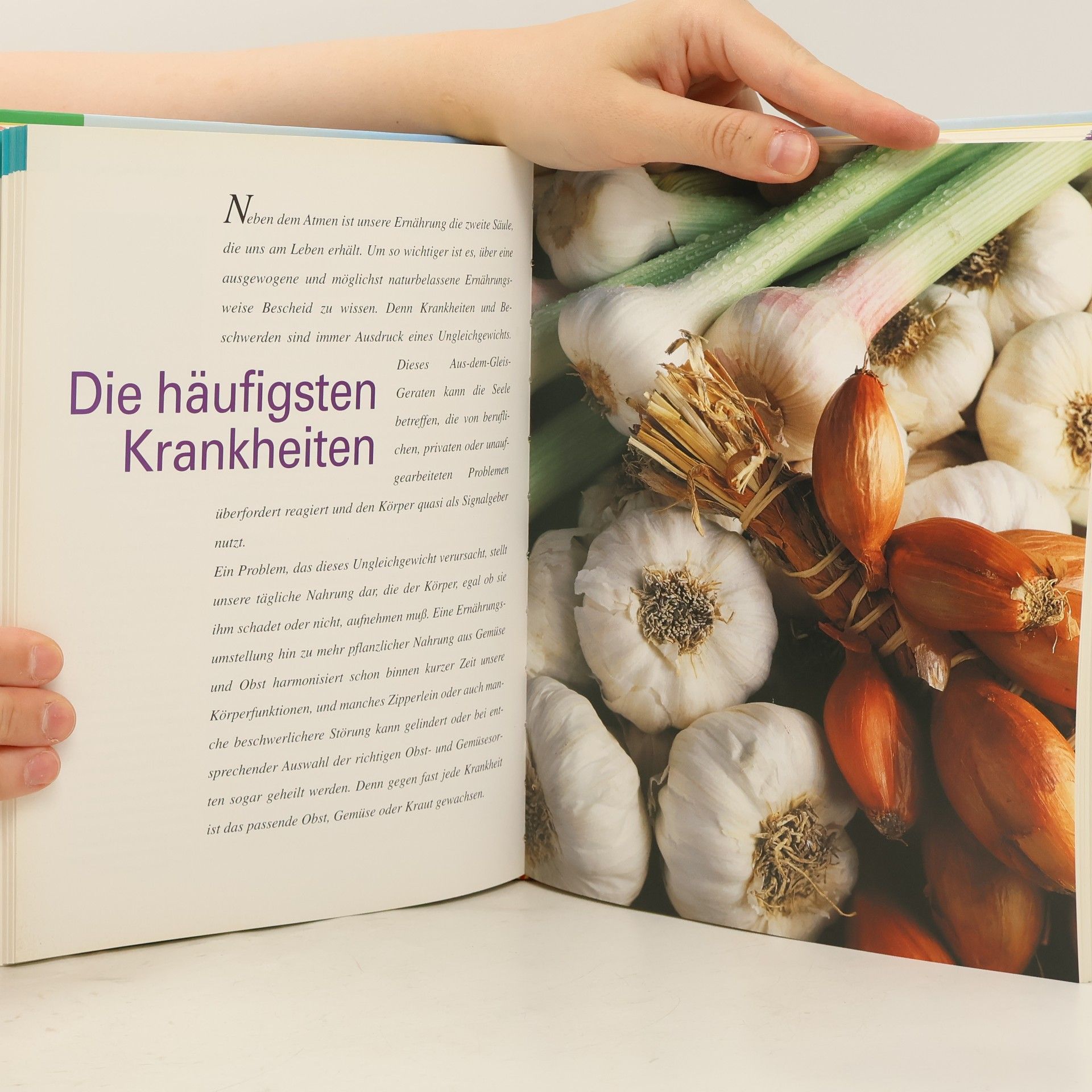 Klaus Oberbeil Obst und Gemüse als Medizin