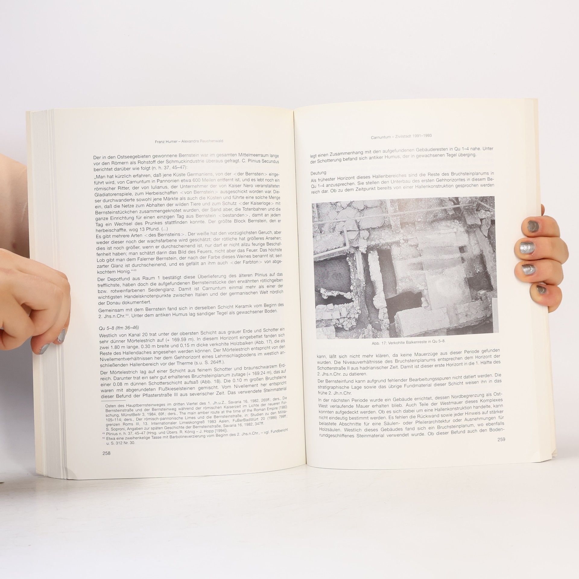 Werner Jobst Carnuntum Jahrbuch