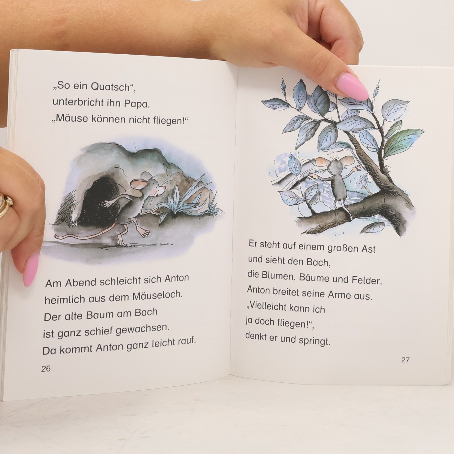 Julia Boehme Geheimnisgeschichten