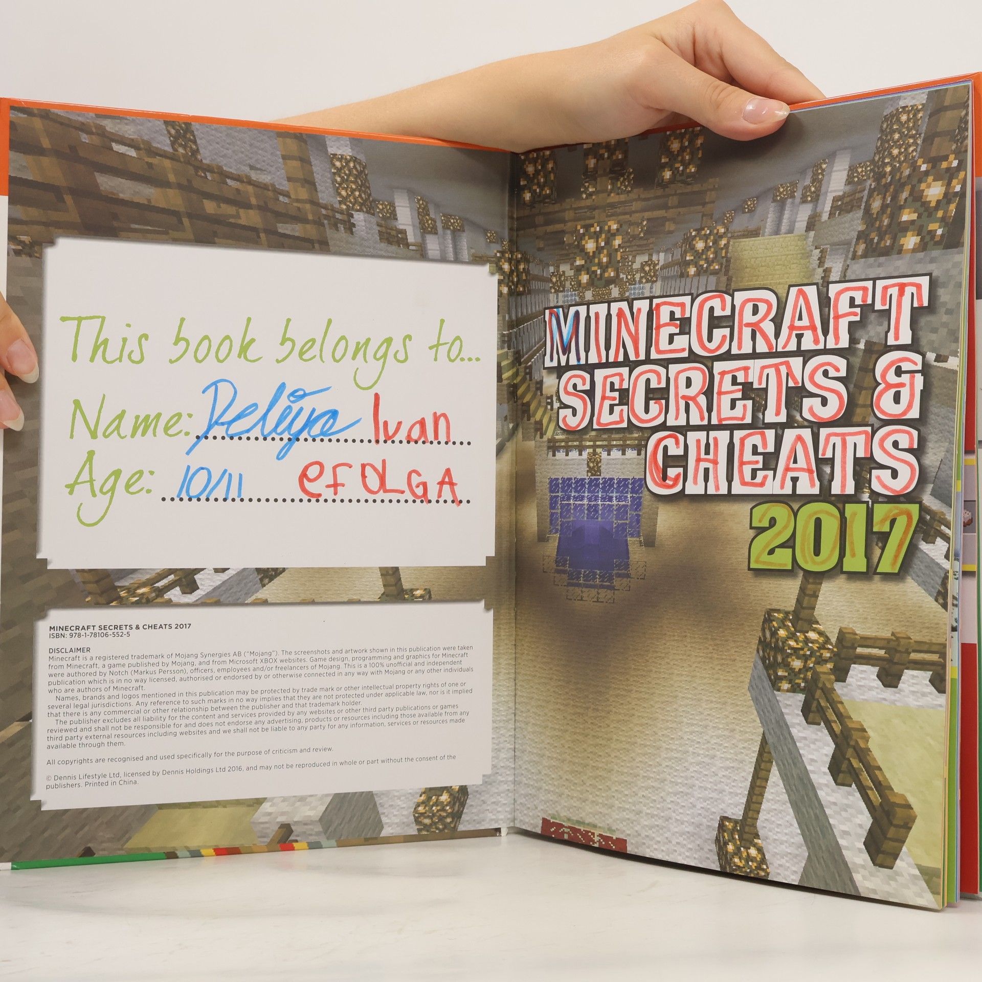 Dennis Lifestyle Unofficial and Independent Guide Minecraft Secrets and Cheats 2017