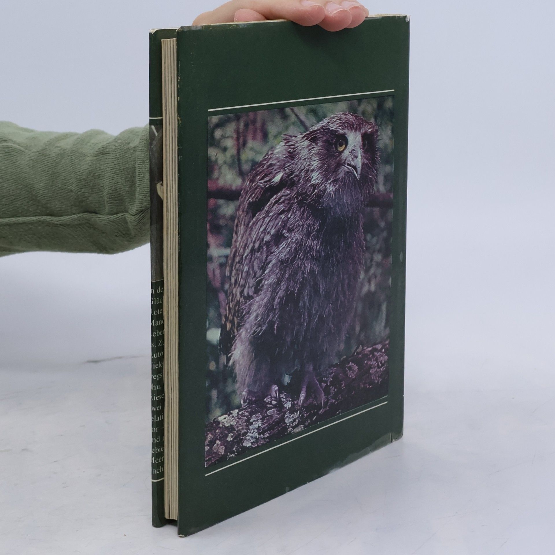 Autorenkollektiv In Der Ussuri-Taiga. Suche Nach Demm Risenfischuhu