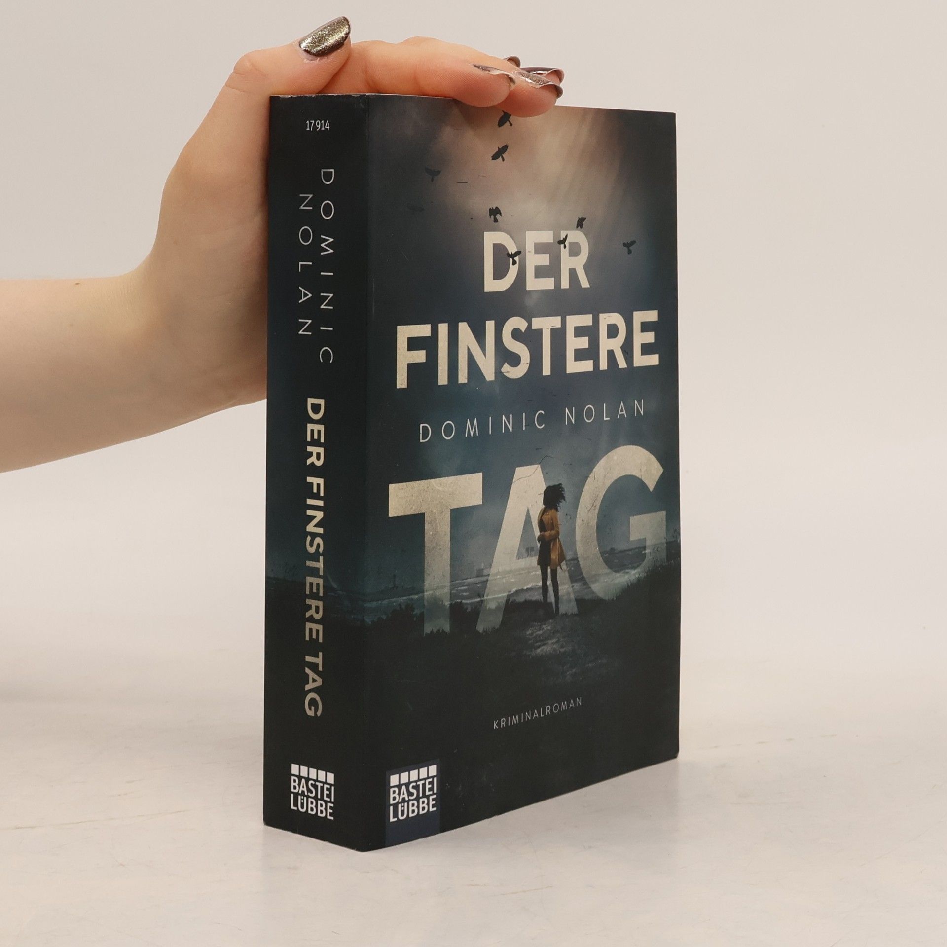Dominic Nolan Der finstere Tag