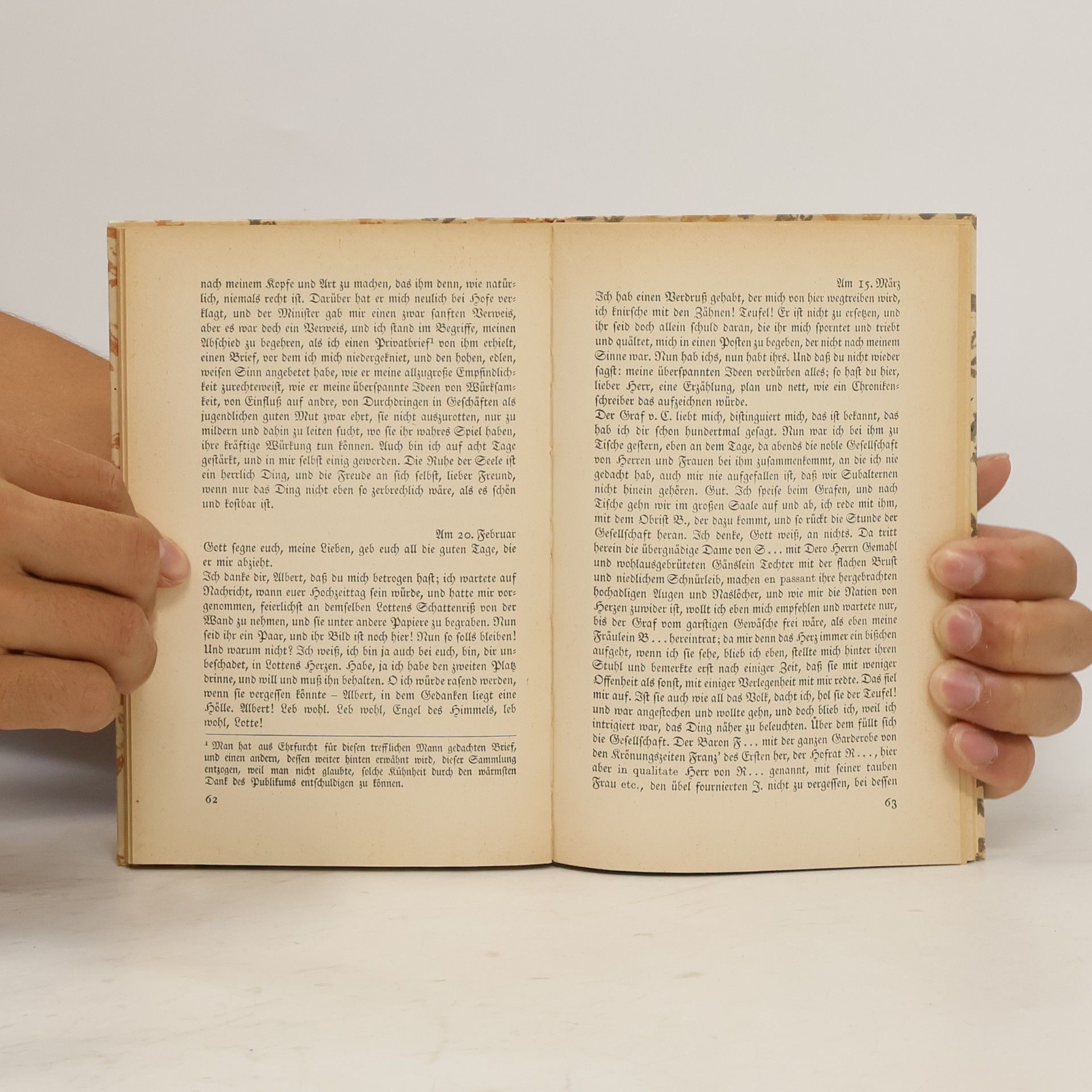 Johann Wolfgang von Goethe Die Leiden des jungen Werthers