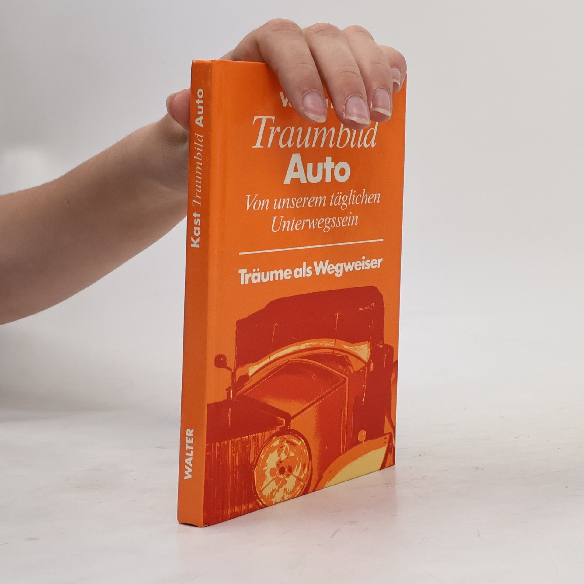 Verena Kast Traumbild Auto